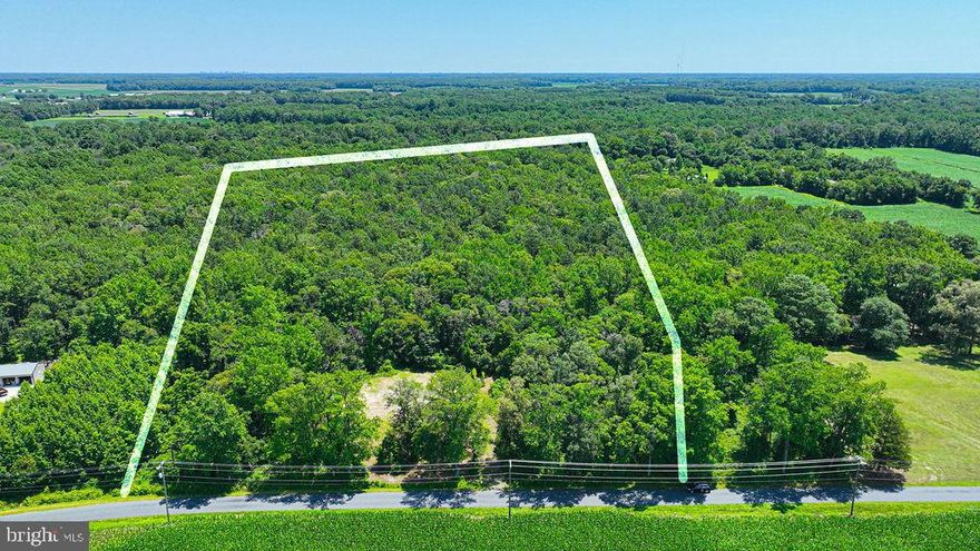 ONE OF A KIND LOT with plenty of elbow room! Get away from it all on  7 acres, with some major utilities already in place!  Partly cleared and partly wooded, with a cleared building site, an 85 foot Well and Standard Septic installed in 2001.  Located just 17 miles to the beaches of Ocean City,  21 Miles to Assateague Island National Seashore, and 16 Miles to Salisbury!  Previous house was professionally demolished and site prepared by Absolute Demolition in 2022.  Existing chain link dog pen with concrete slab.  Forest Conservation Easement and small area of non-tidal wetlands in rear.  Please do not walk beyond the fence line (Hidden stream, wildlife, hunting permissions)