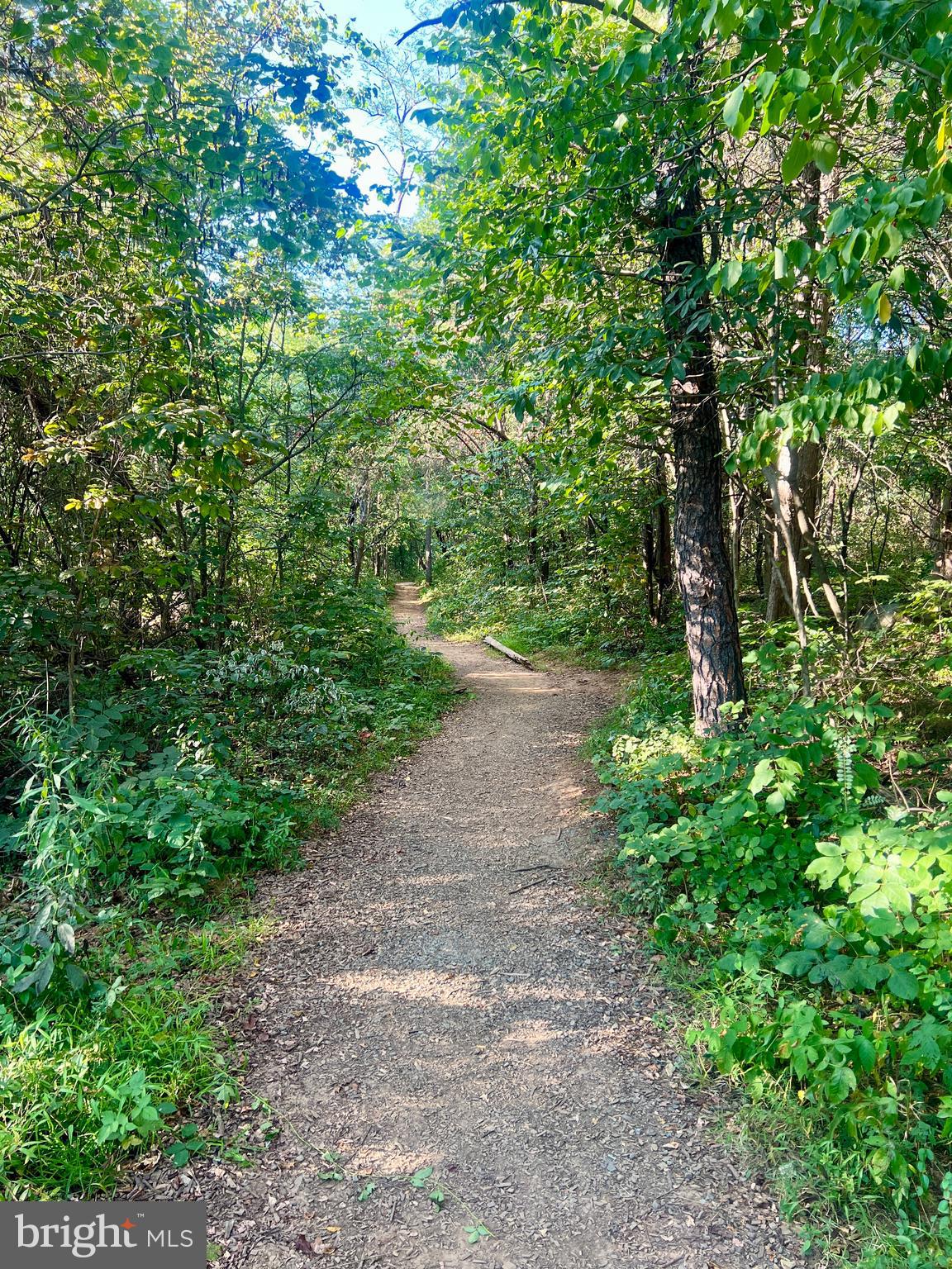 GOOSE CREEK BEND - Residential