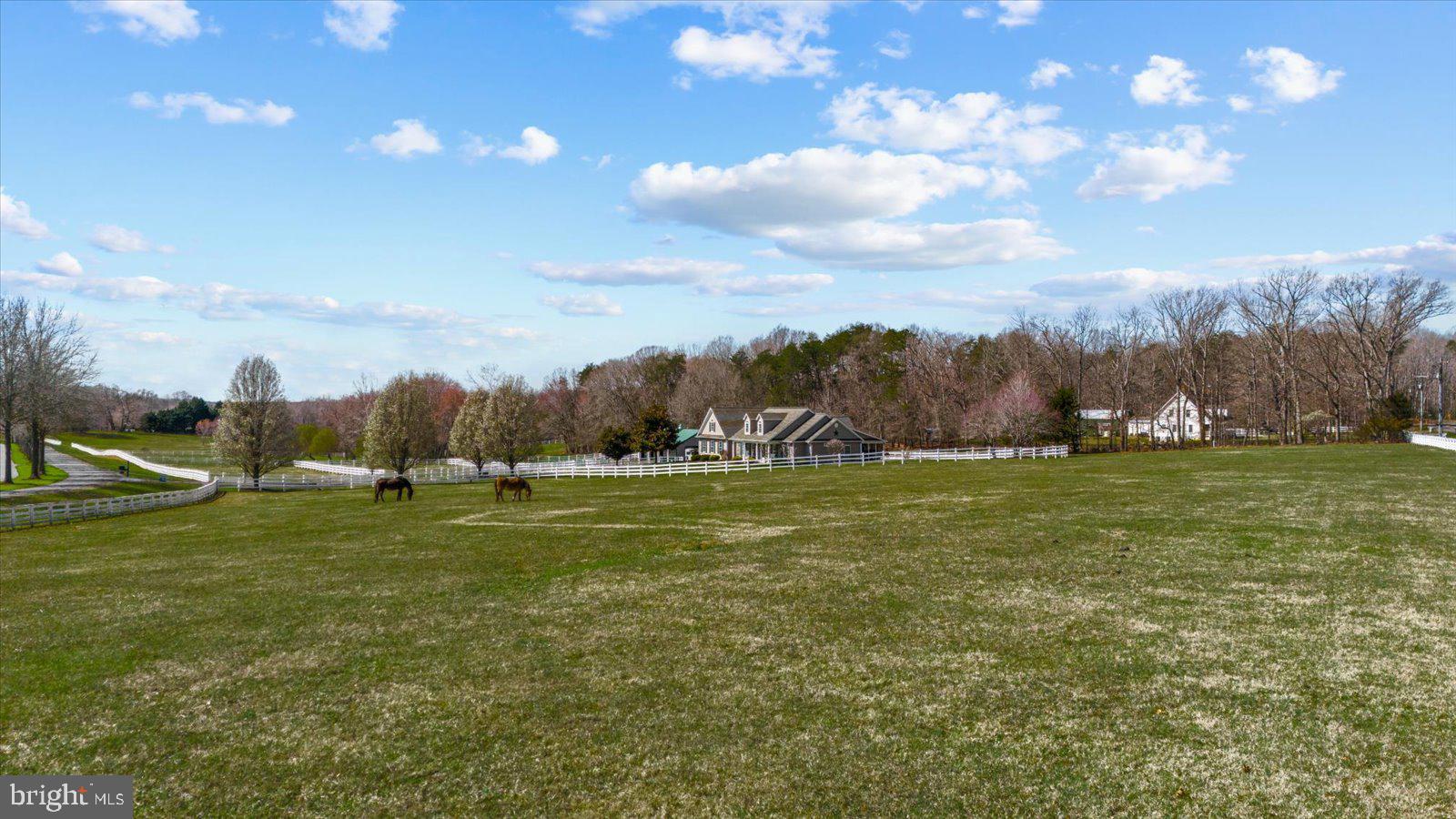 MEADOWLAND - Residential