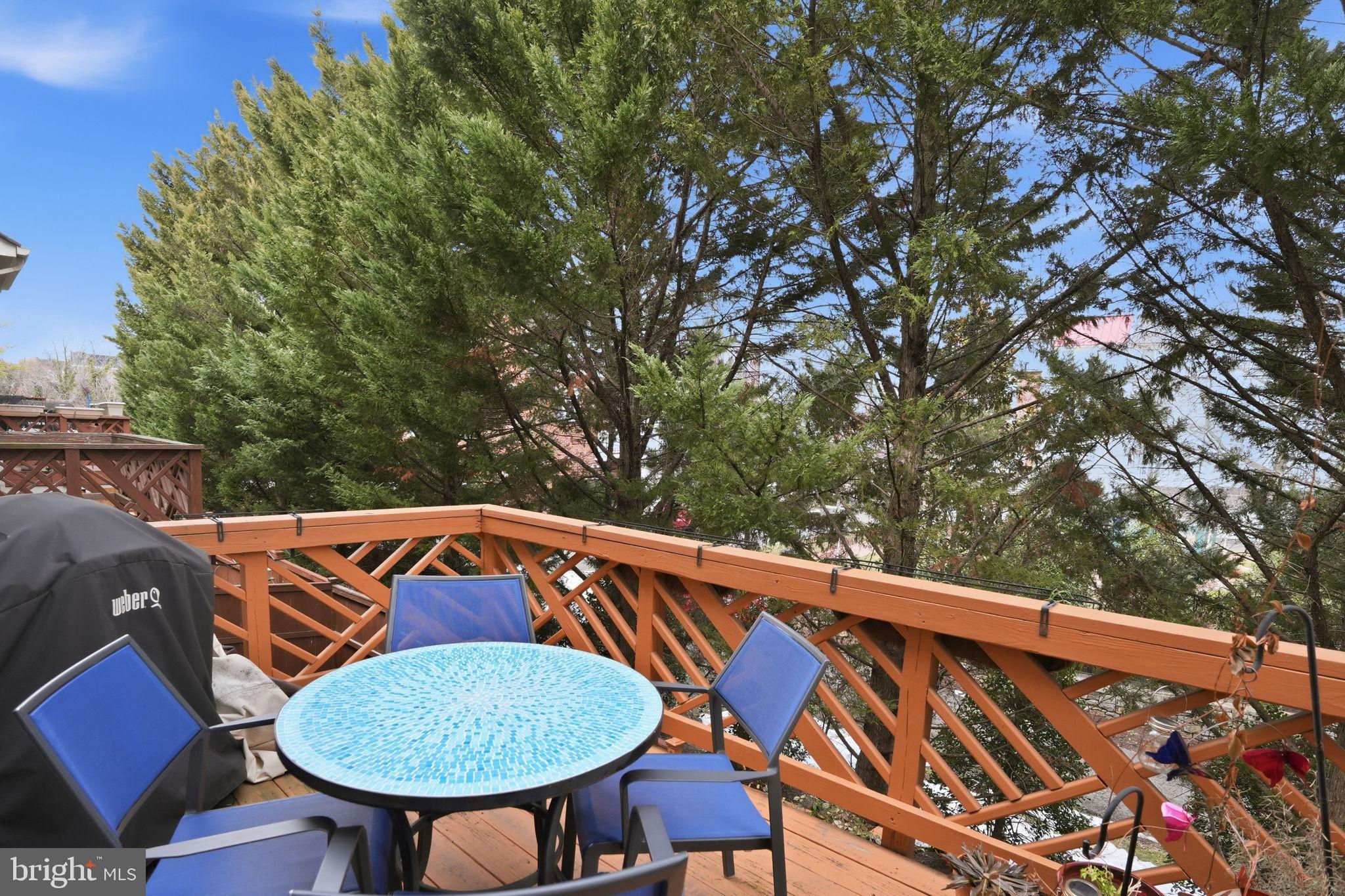 OLD TOWN GREENS - Residential