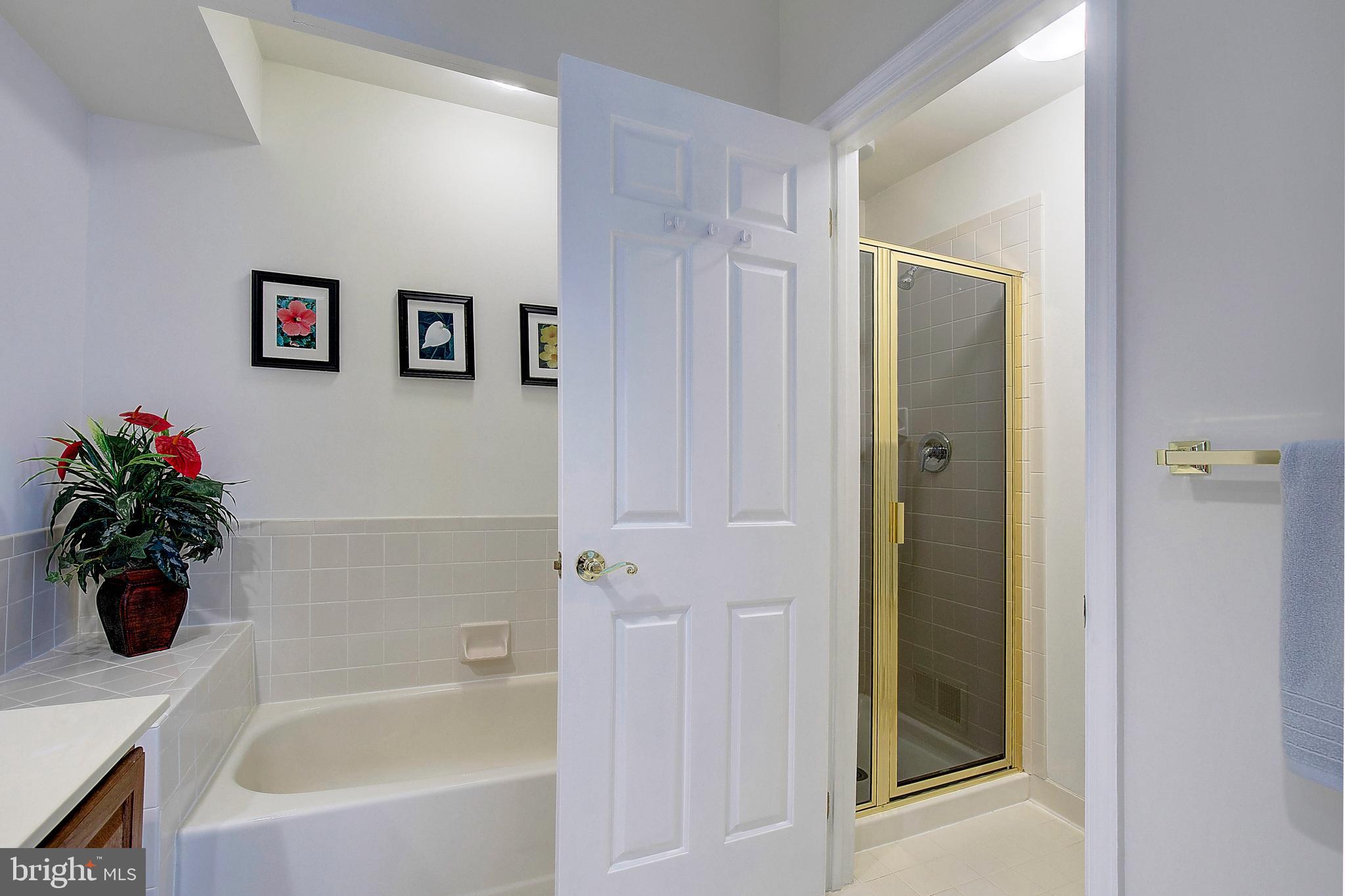 RIVA TRACE - Residential