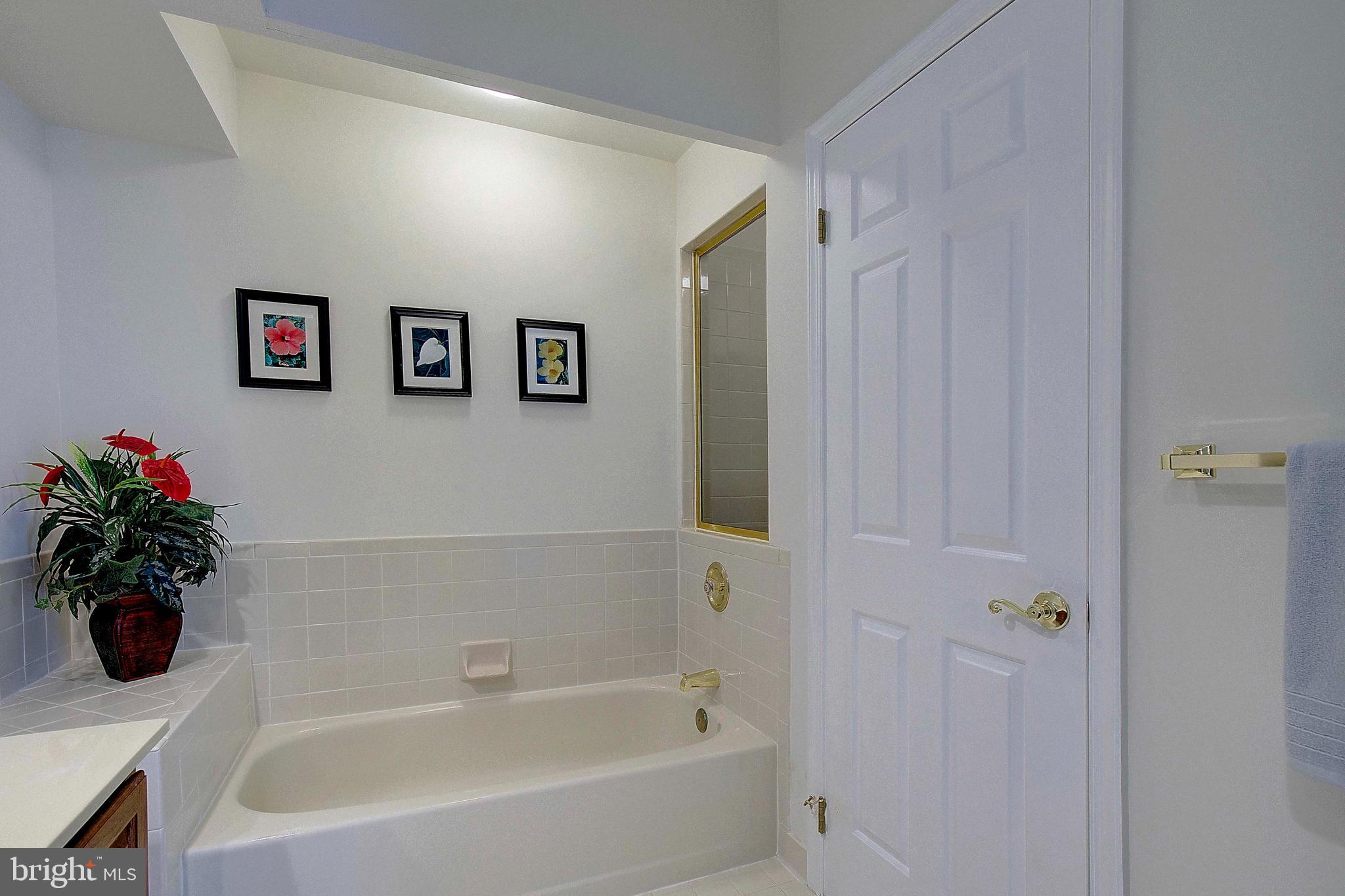 RIVA TRACE - Residential