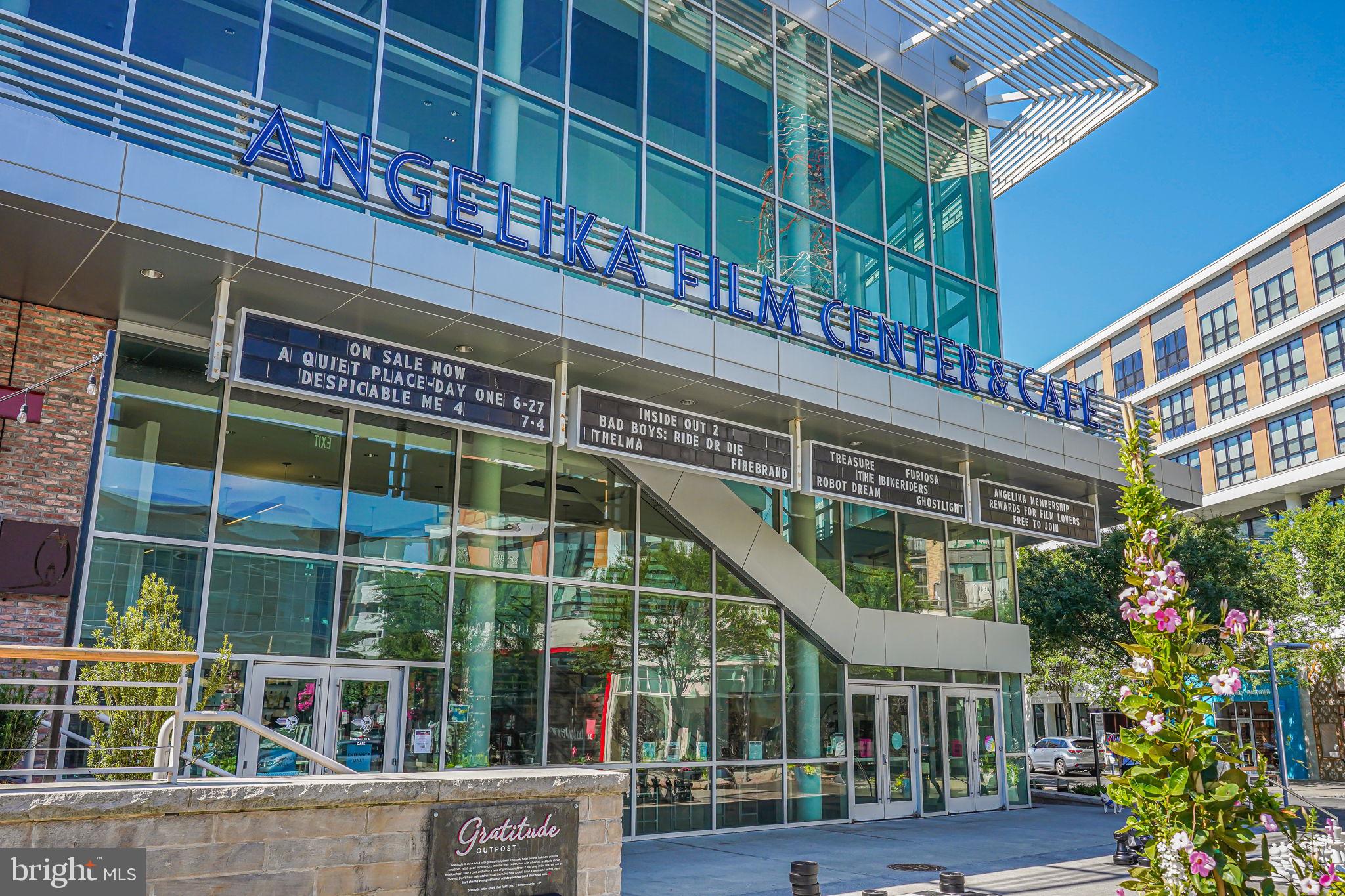 MOSAIC AT MERRIFIELD - Residential