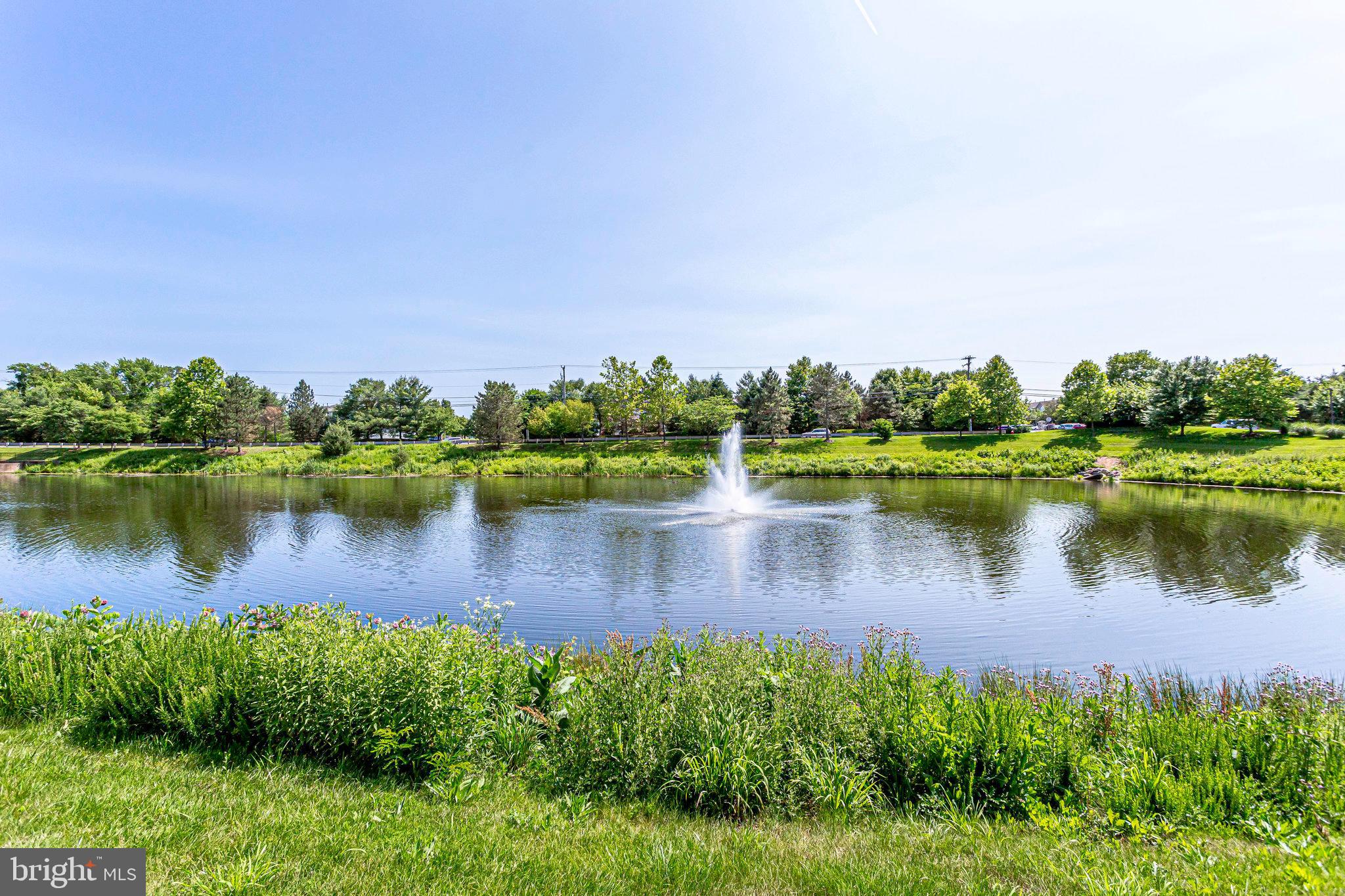 ASHBURN FARM - Residential