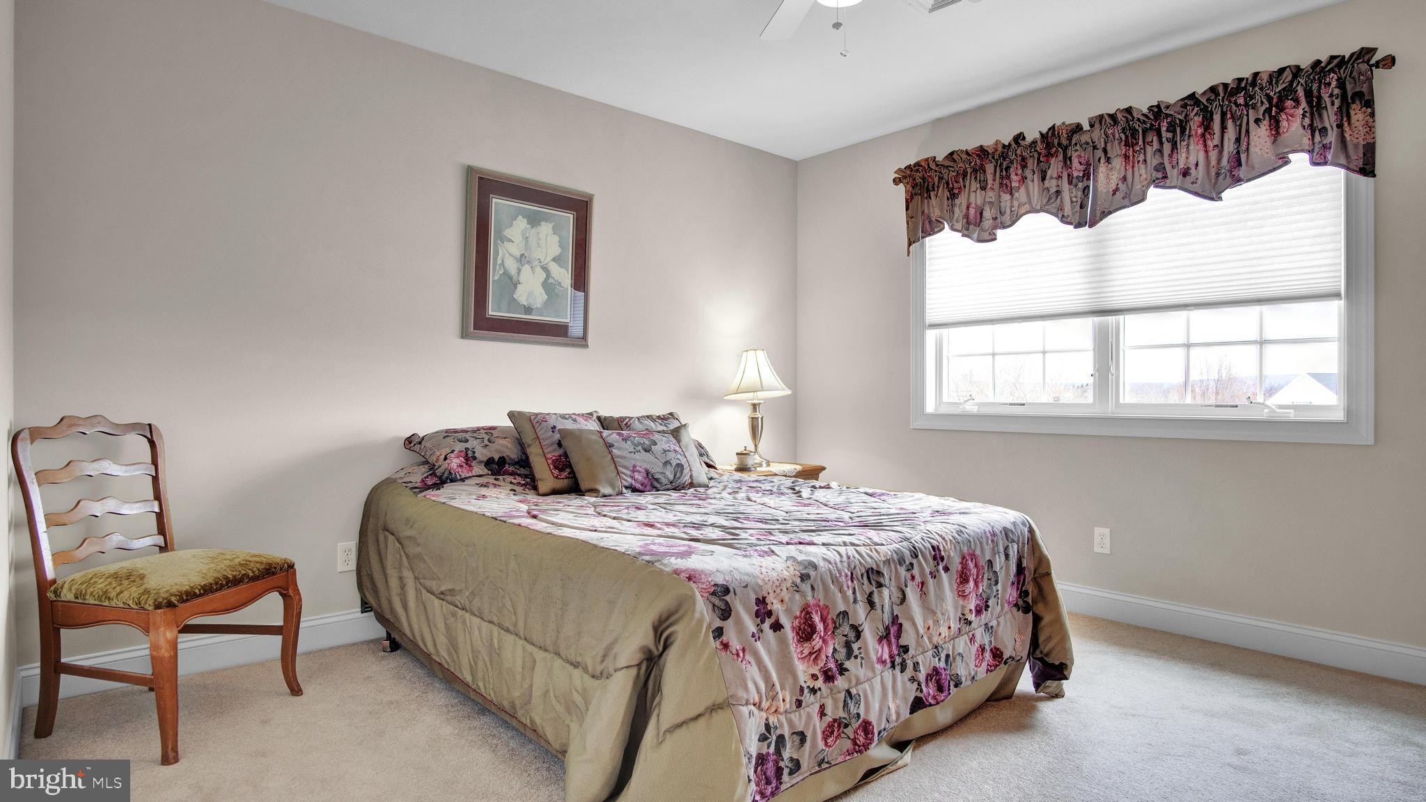 CLARENDON - Residential