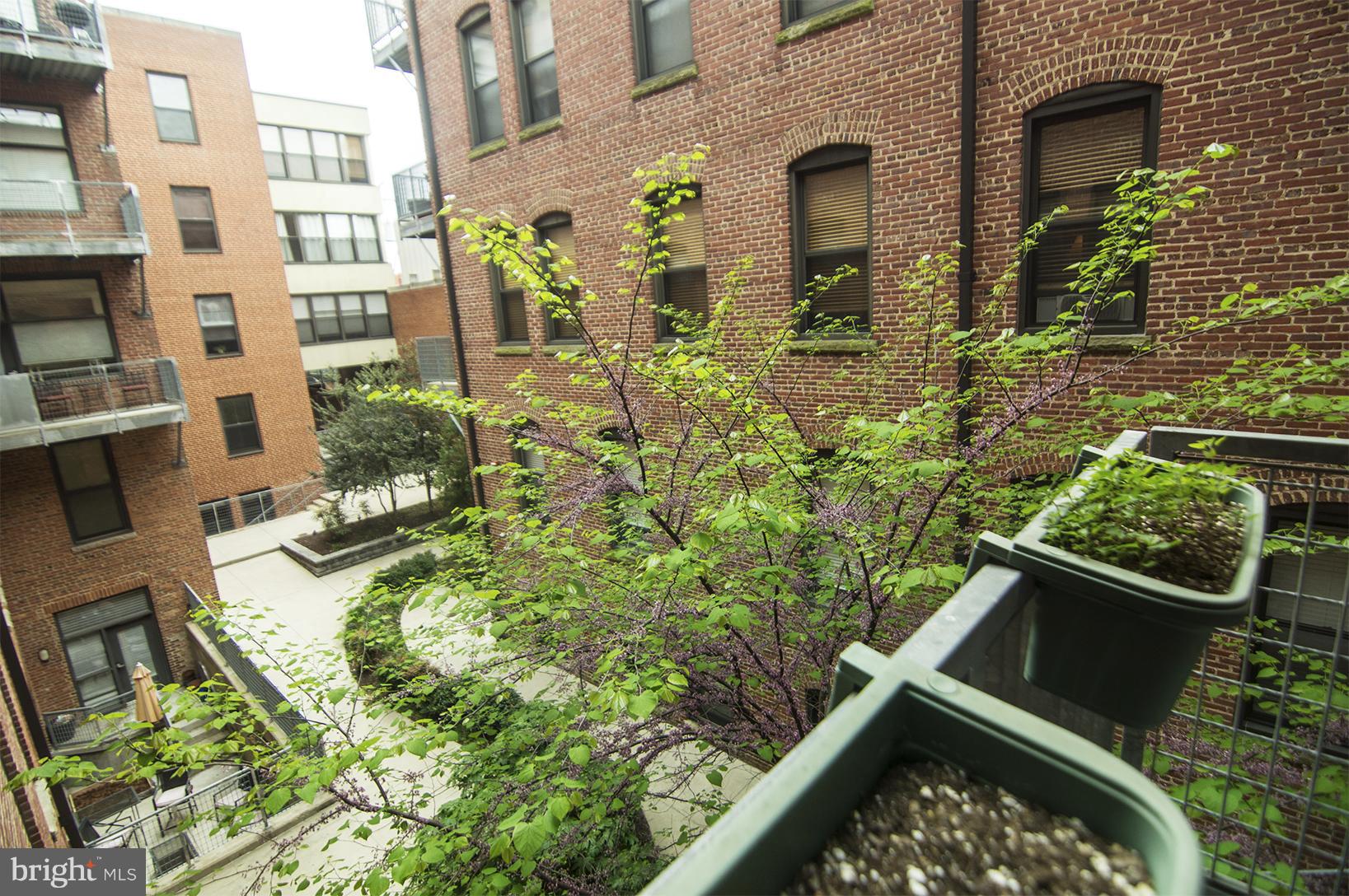 FEDERAL HILL HISTORIC DISTRICT - Residential Lease