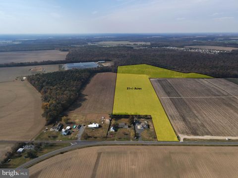 31 Acres CLENDANIEL POND LINCOLN DE 19960