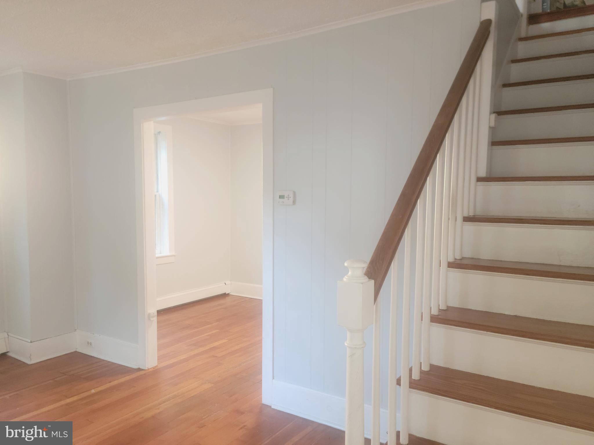 41 MODEL AVENUE