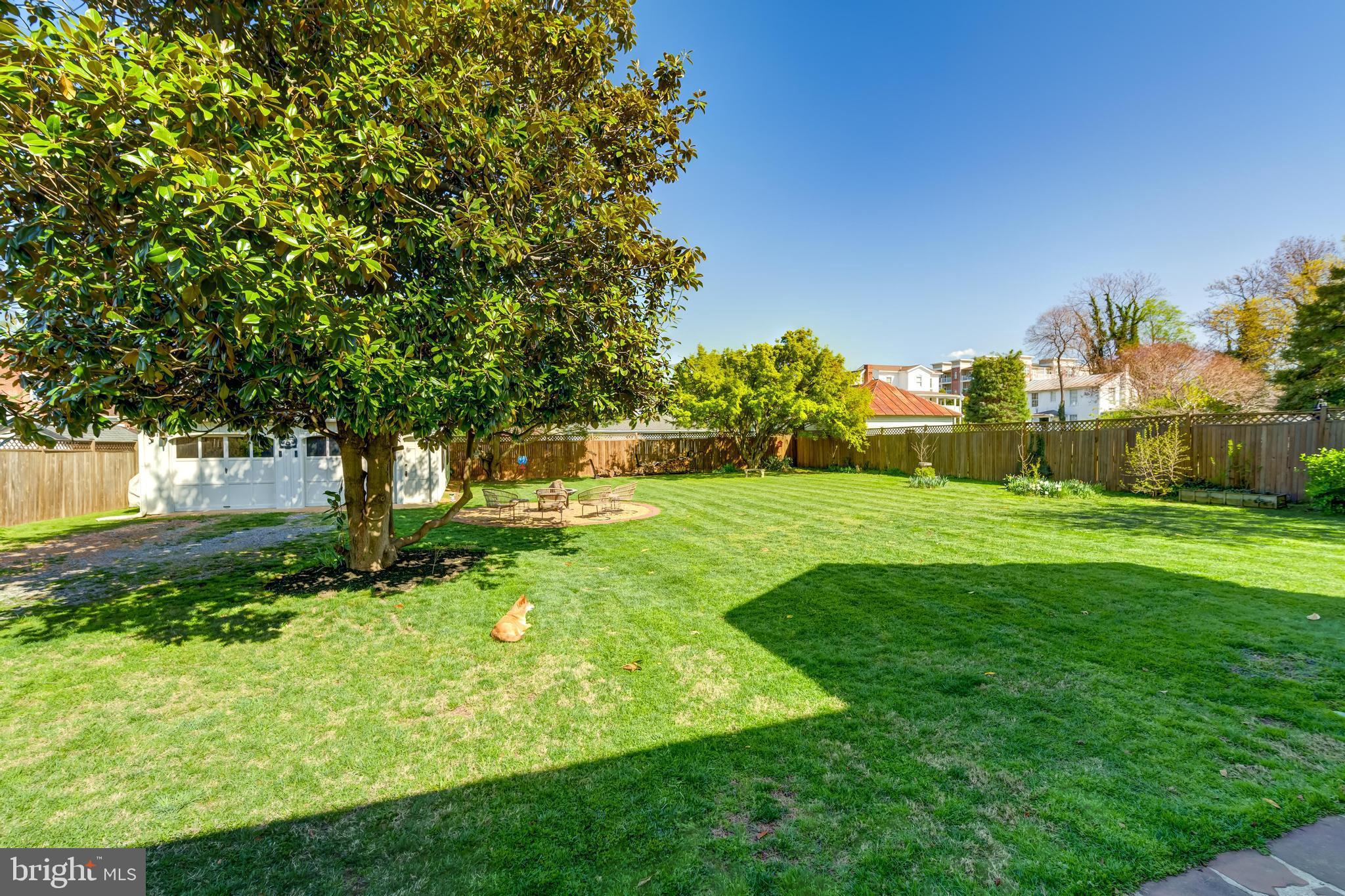 HISTORIC MANASSAS - Residential