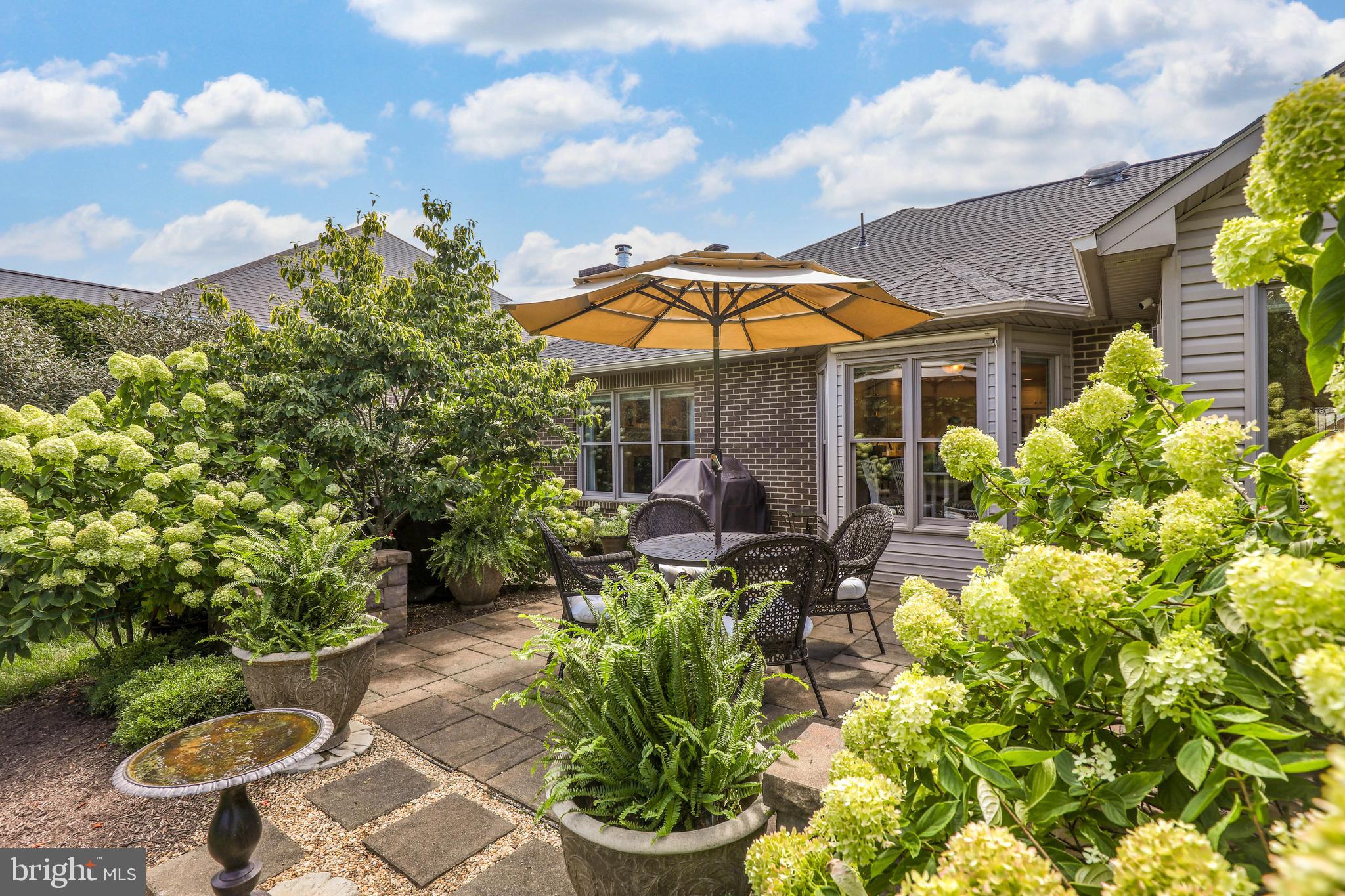 THE DOWNS AT MEADOWBRANCH - Residential