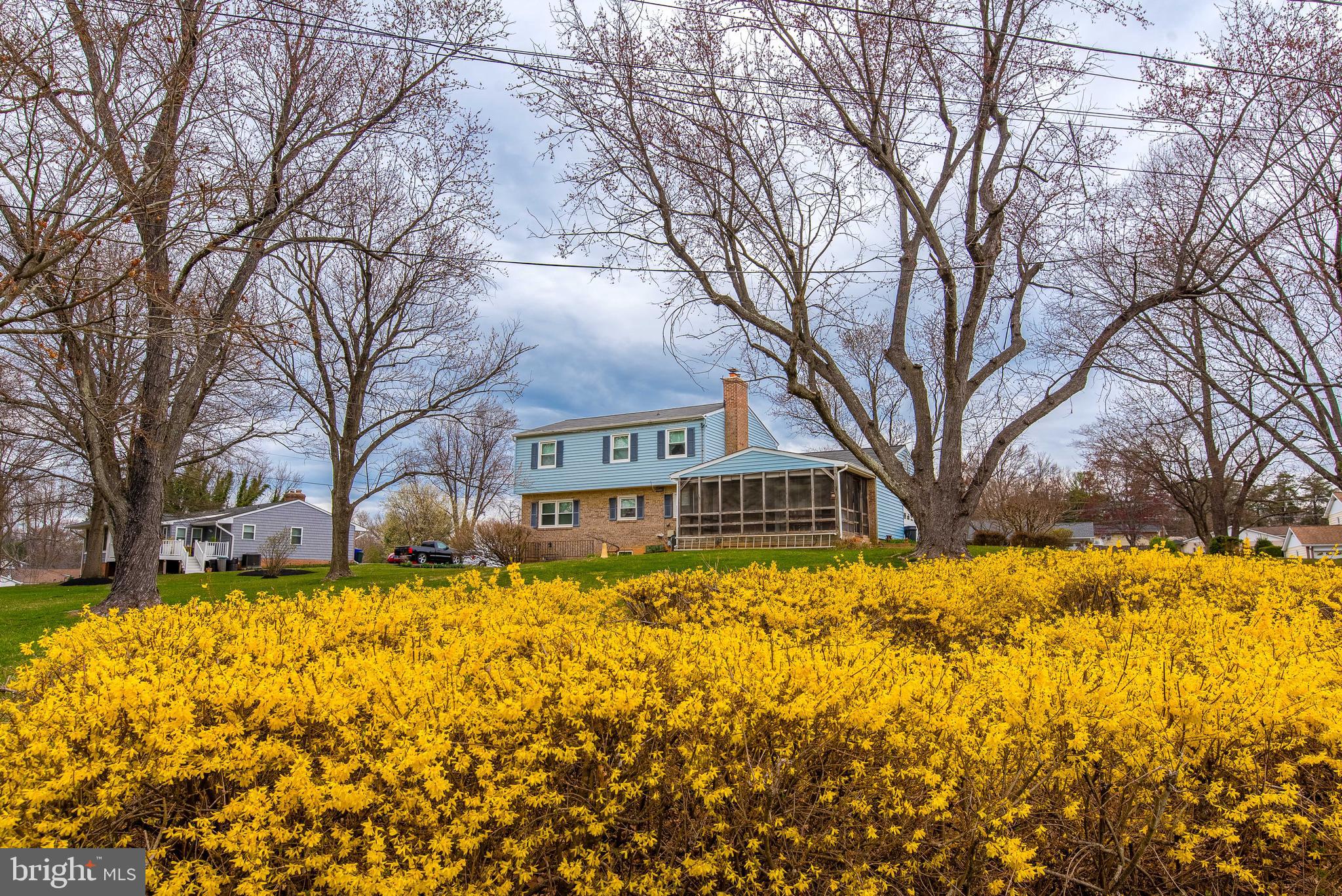 HAMMOND VILLAGE - Residential