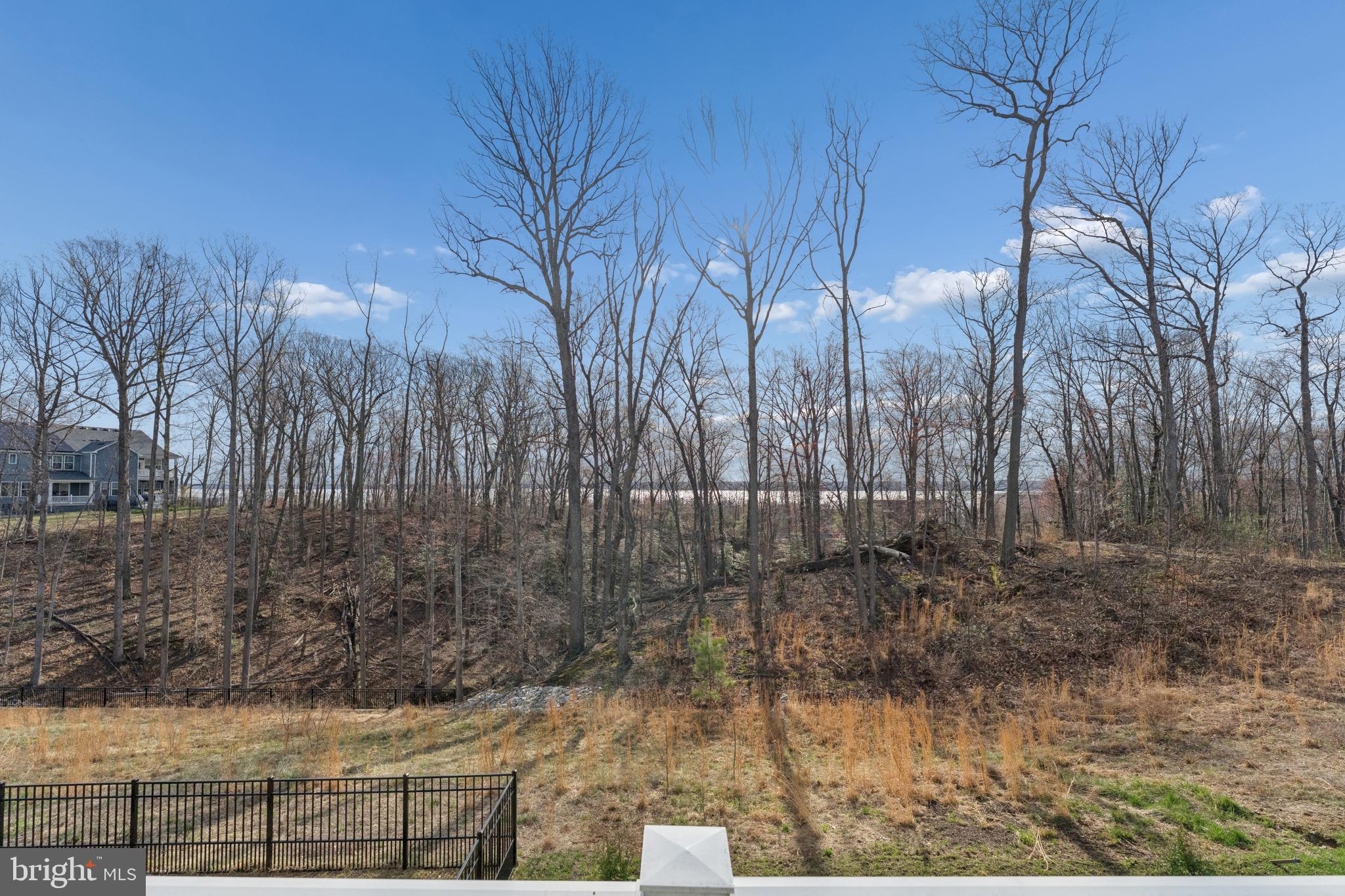 POTOMAC SHORES - Residential