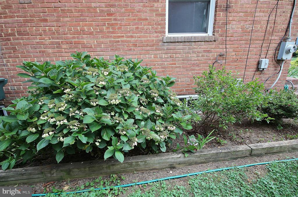 ROSEMONT - Residential Lease