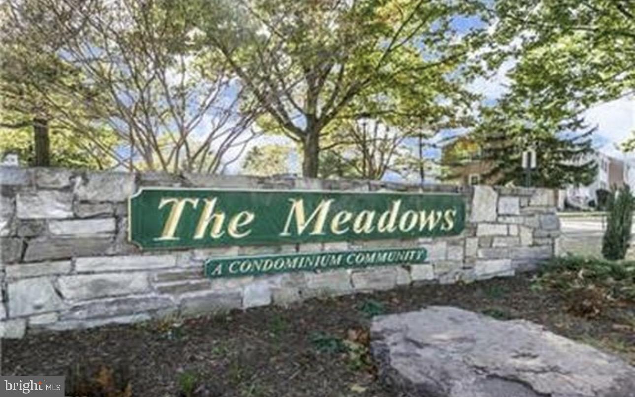 THE MEADOWS - Residential