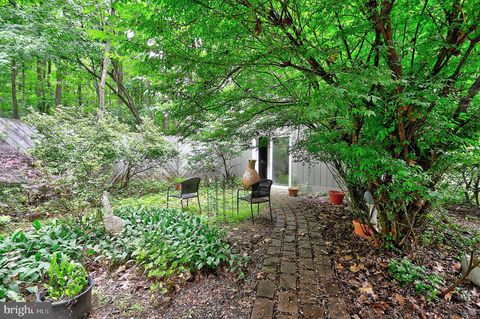 listing image 65