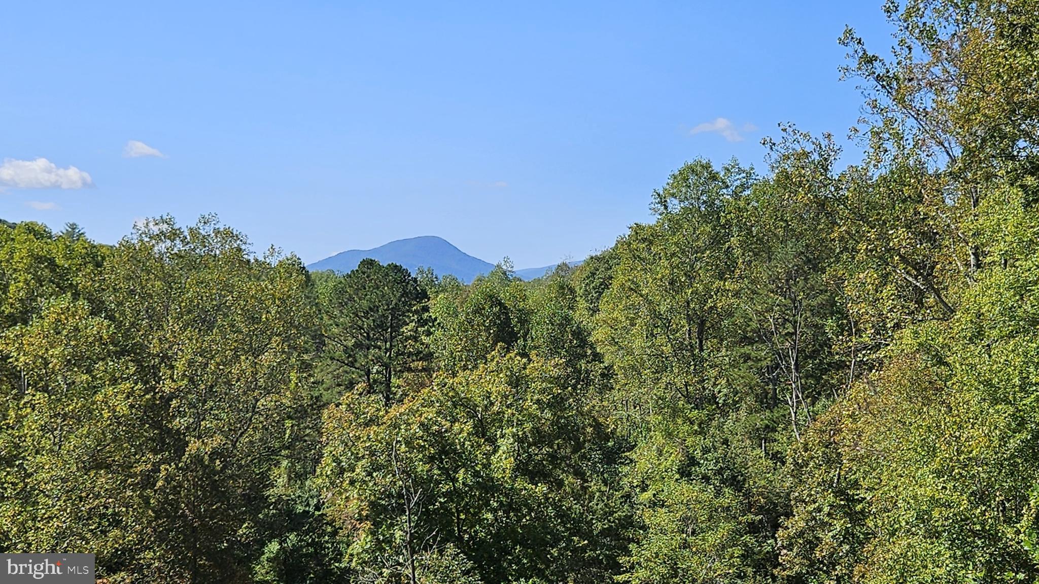 FLINT HILL - Residential