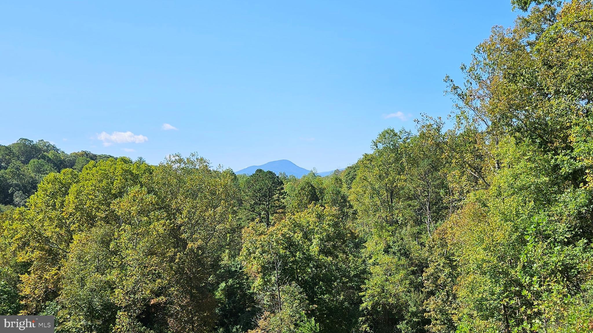 FLINT HILL - Residential