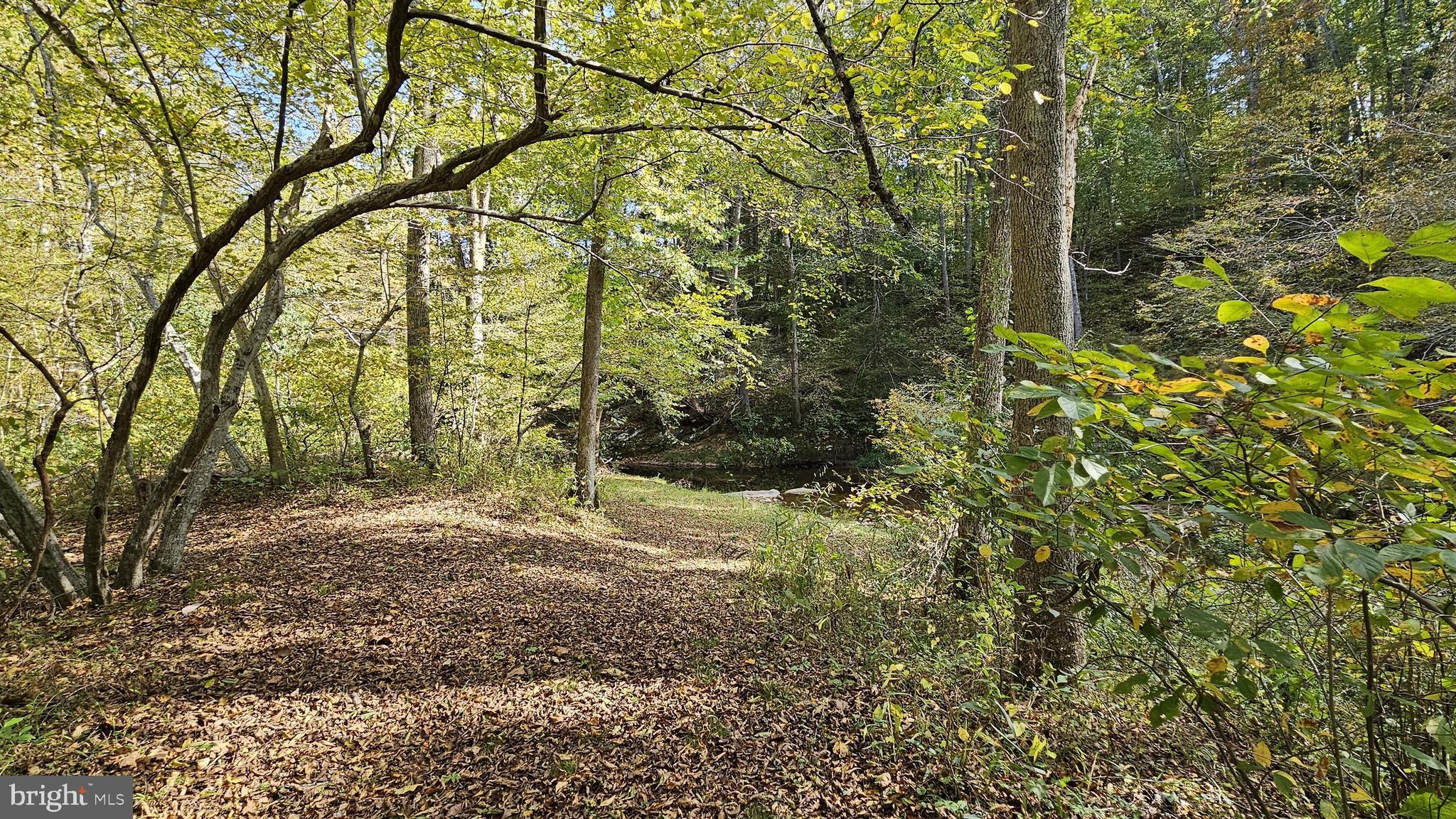 FLINT HILL - Residential