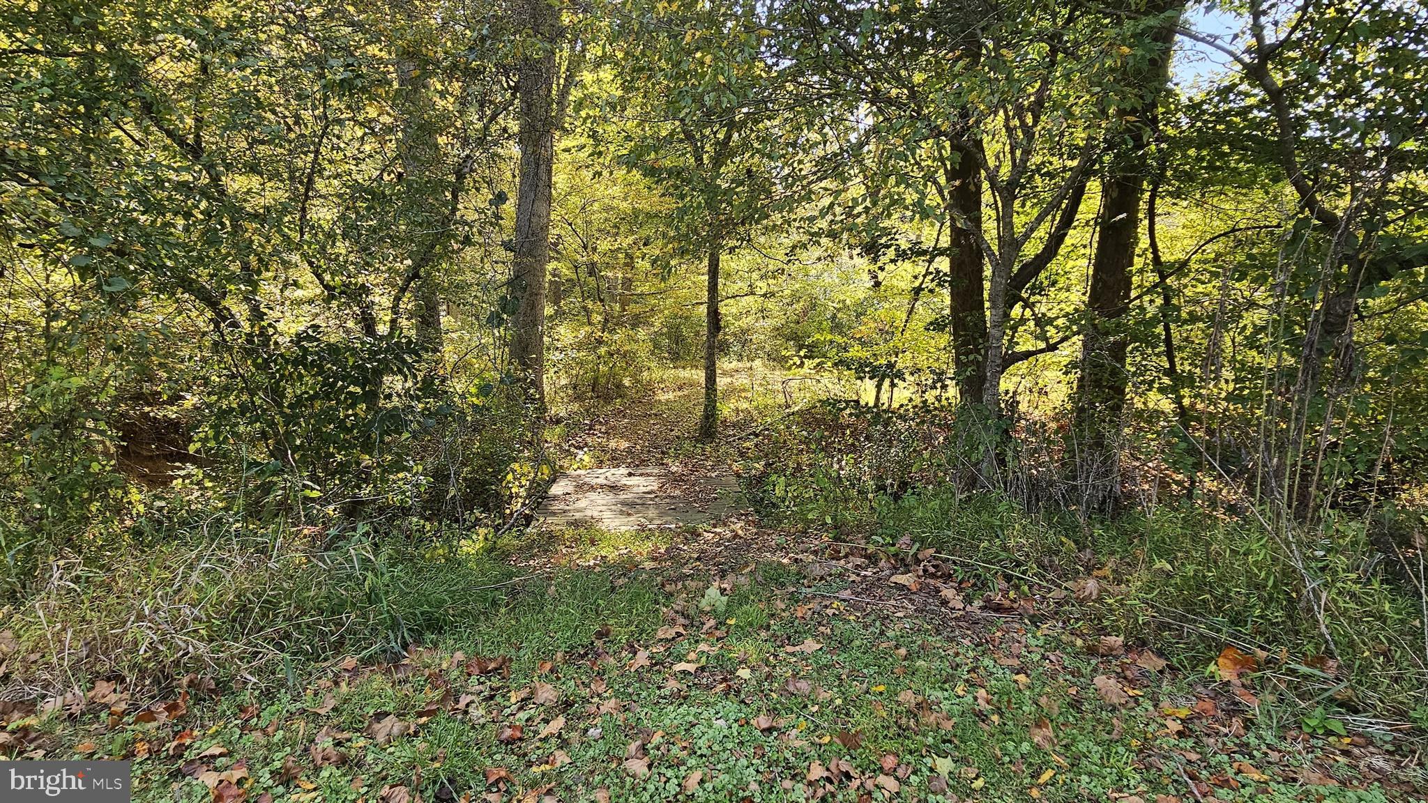 FLINT HILL - Residential