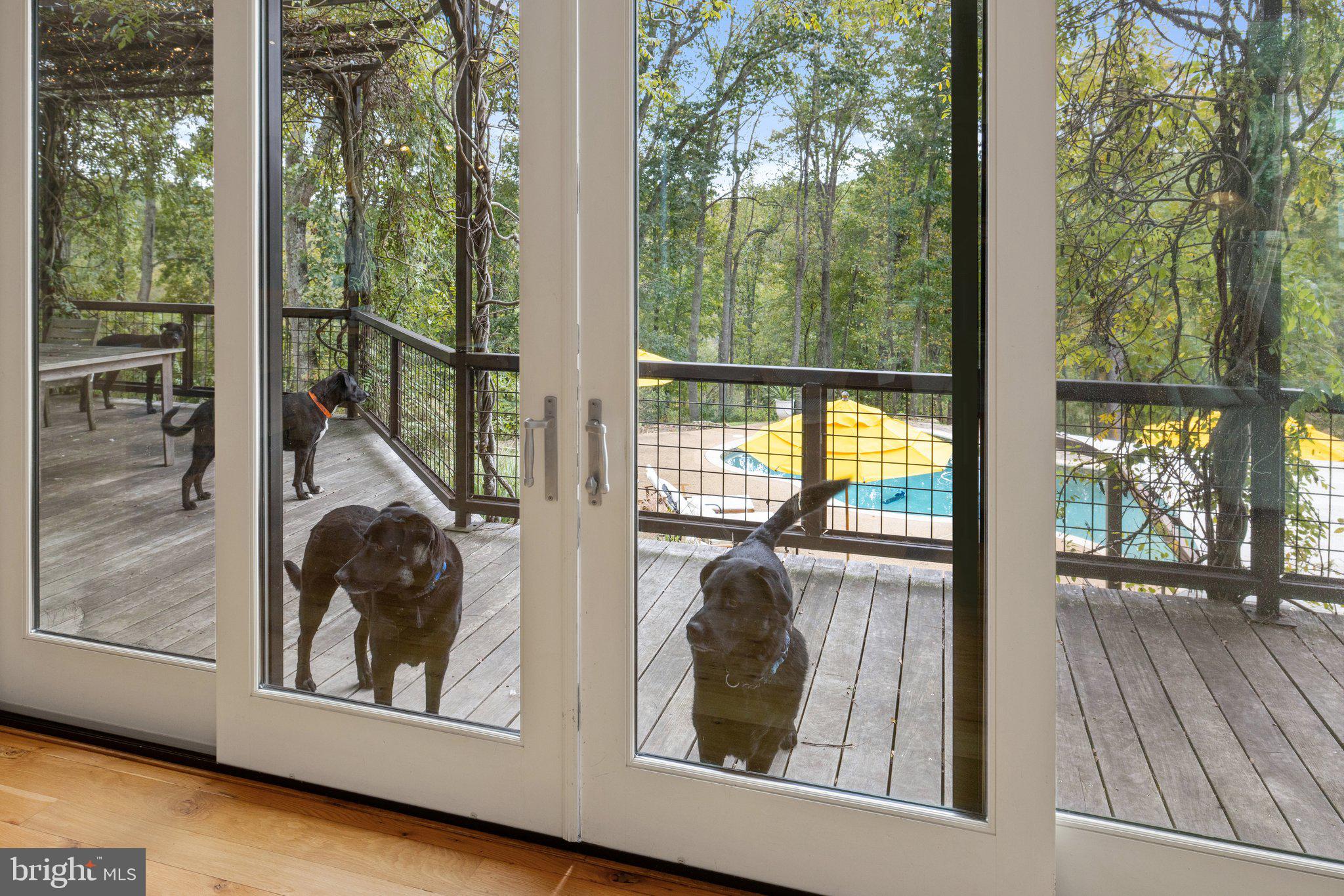 FLINT HILL - Residential