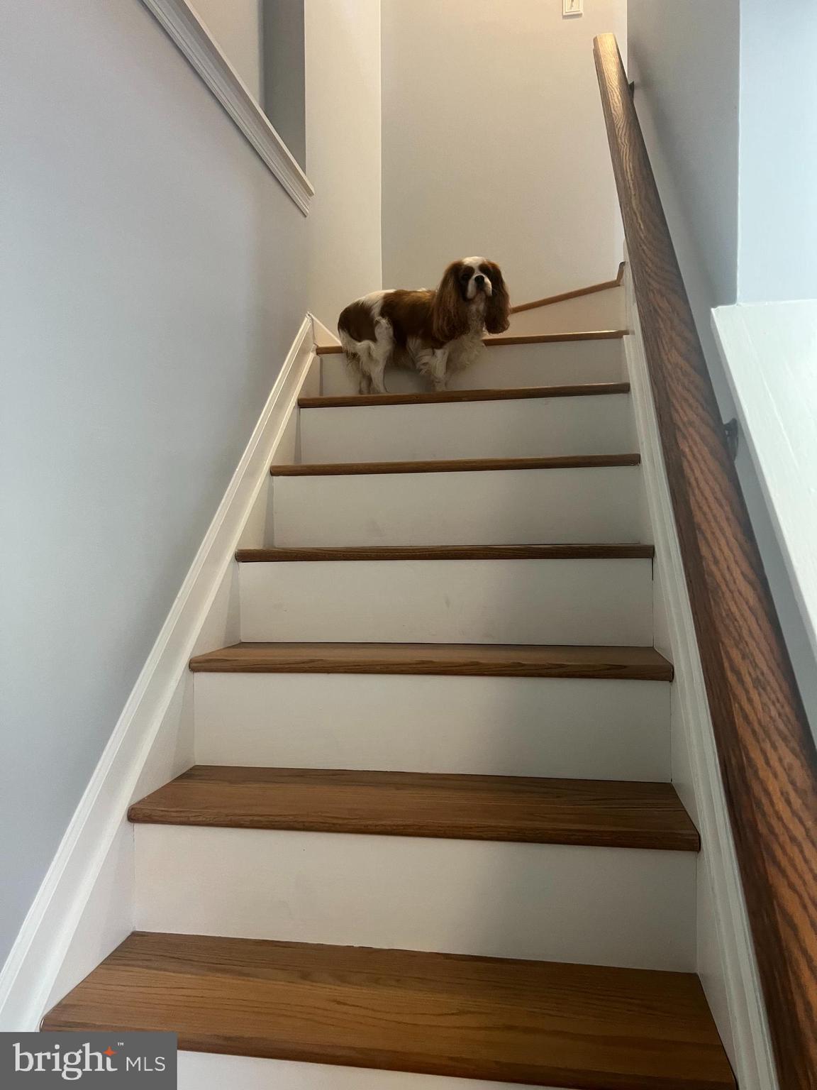 PARKVIEW TRAIL - Residential Lease