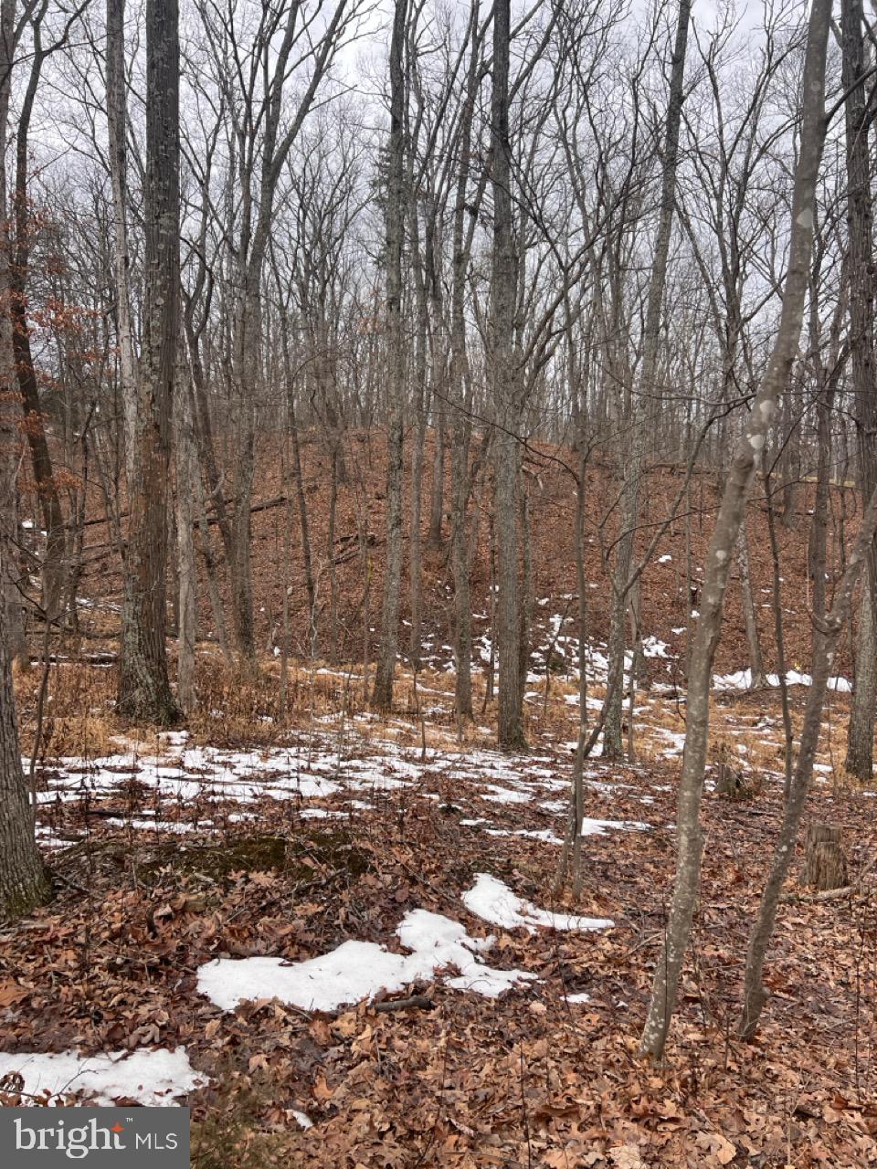 TREE BANK AT NORTH MOUNTAIN - Land