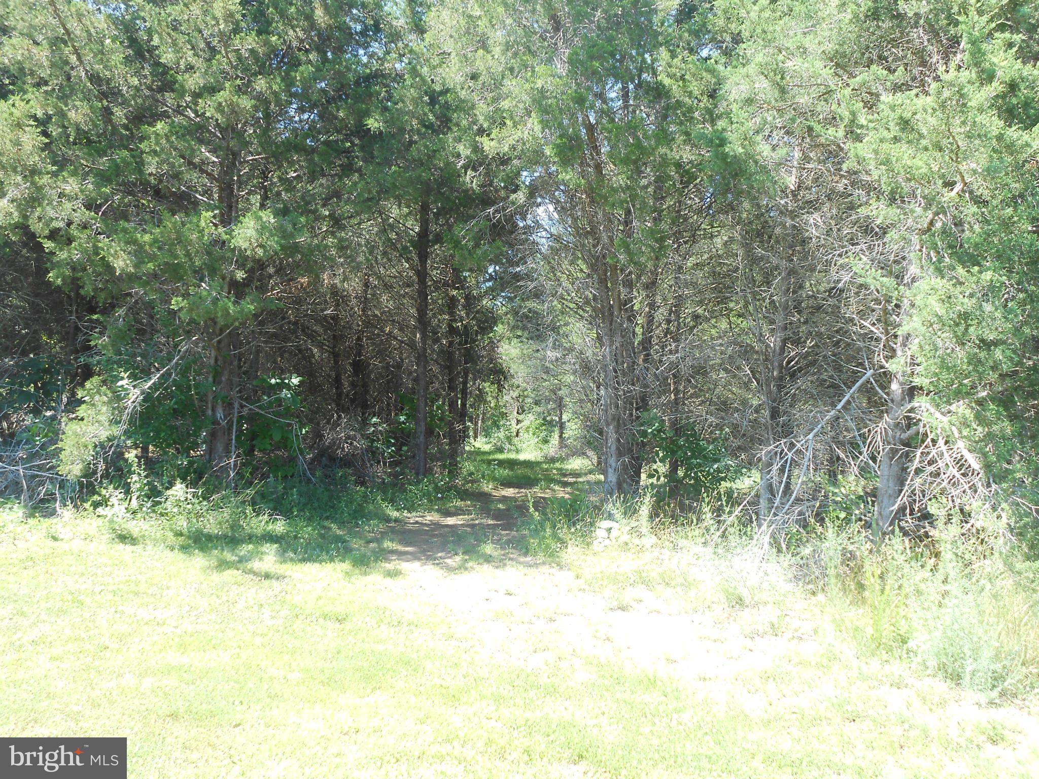 SOUTH RIVER ESTATES - Land