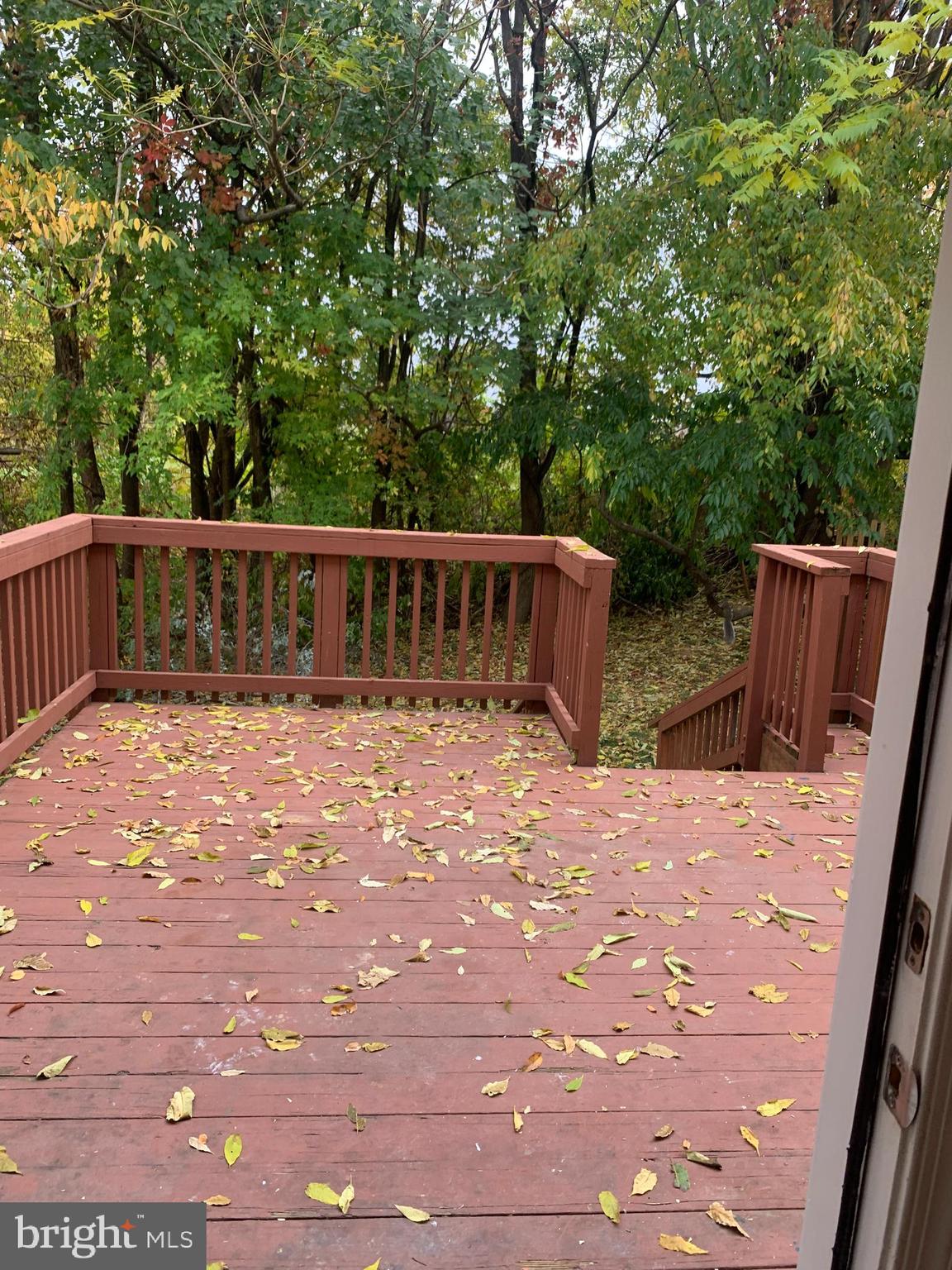 LAUREL RIDGE - Residential Lease