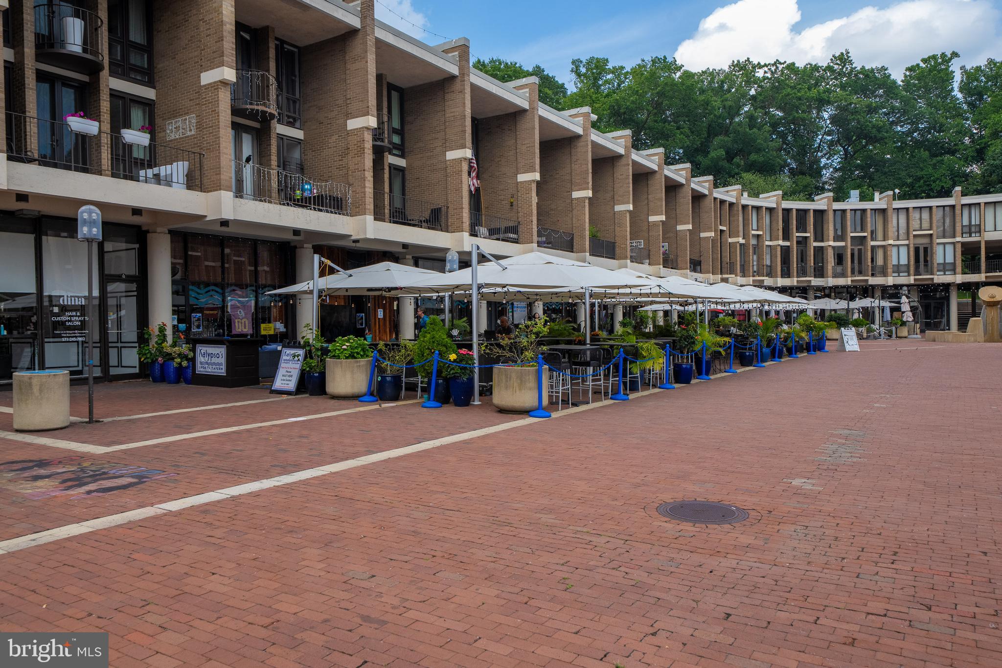 LAKE ANNE OF RESTON - Residential