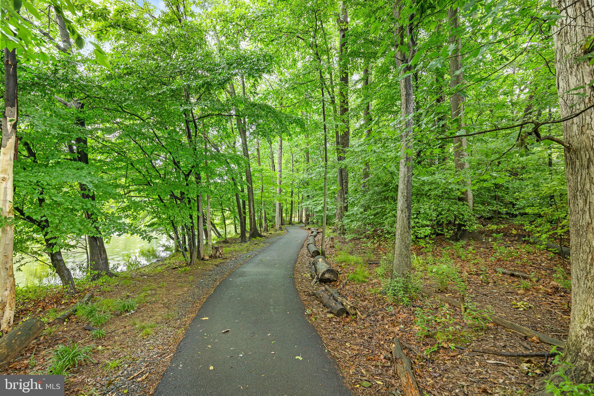 LAKE BRADDOCK - Residential