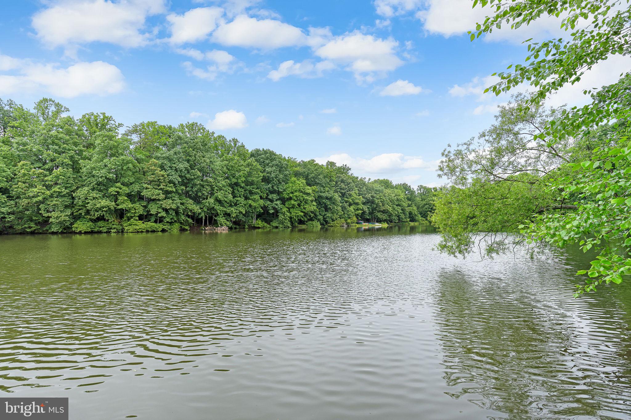 LAKE BRADDOCK - Residential