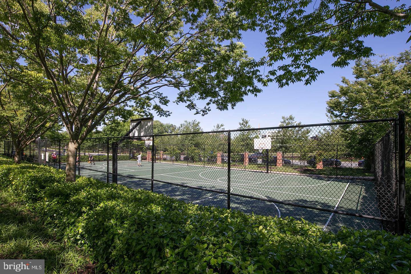 MAPLE LAWN - Residential