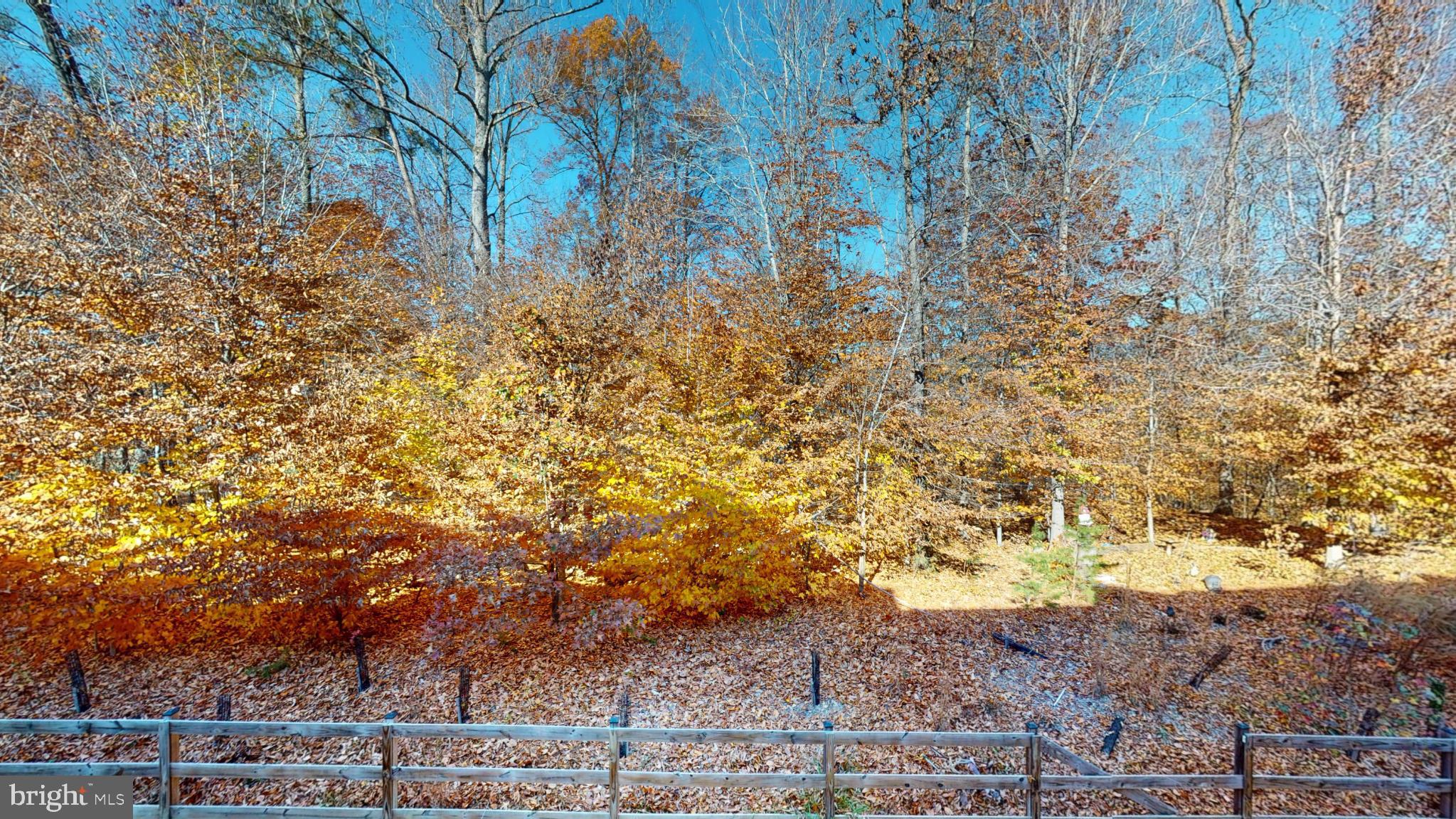 BEECHTREE - Residential