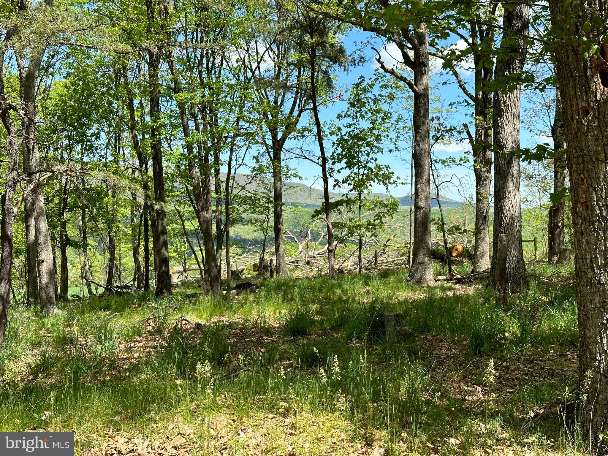 NO SUBDIVISION - Residential