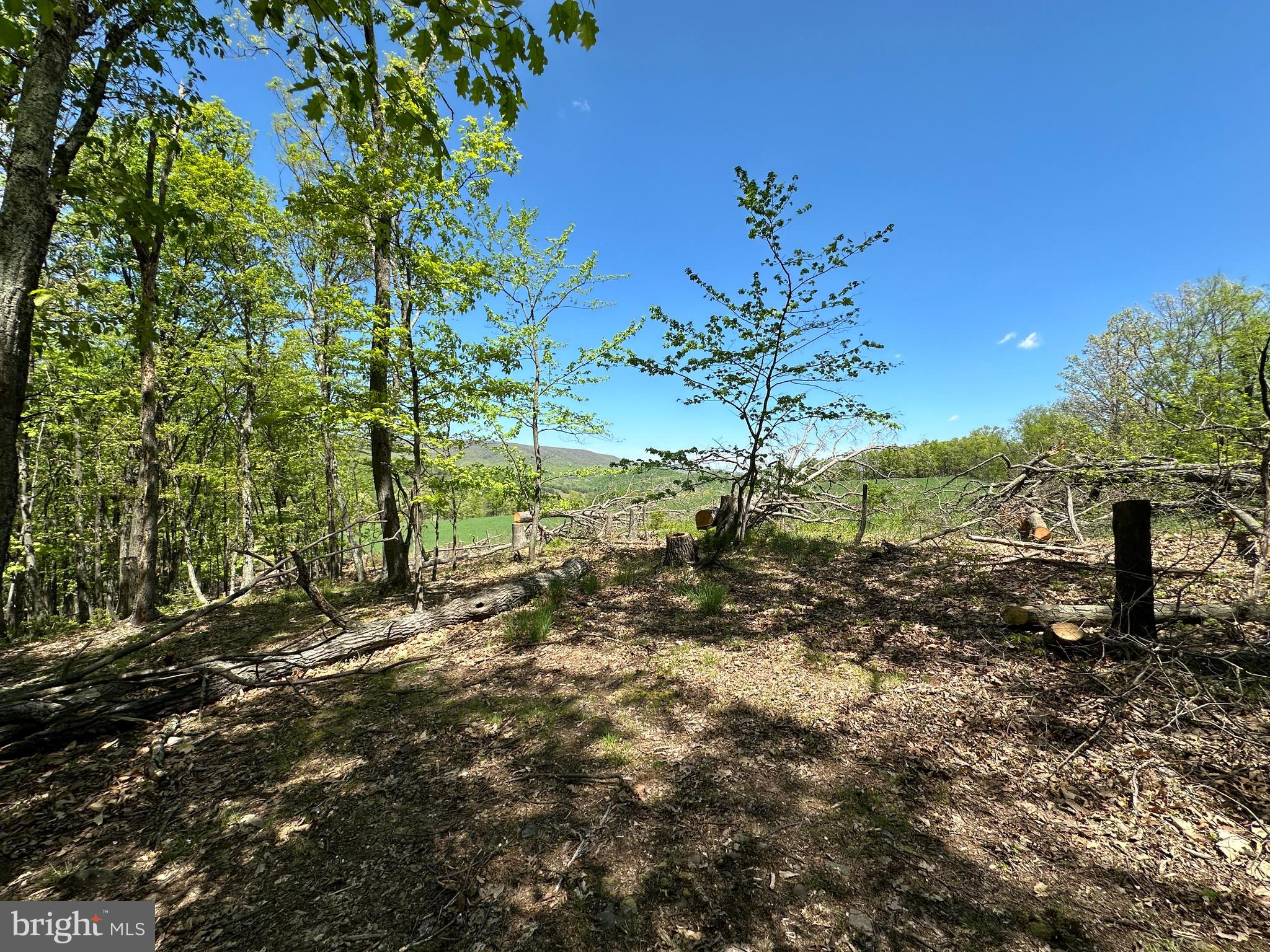 NO SUBDIVISION - Residential