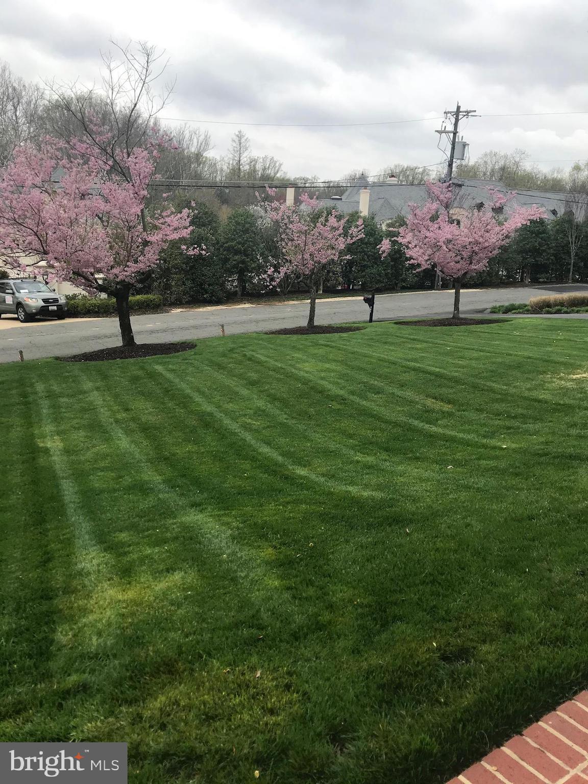 LANGLEY FOREST - Residential