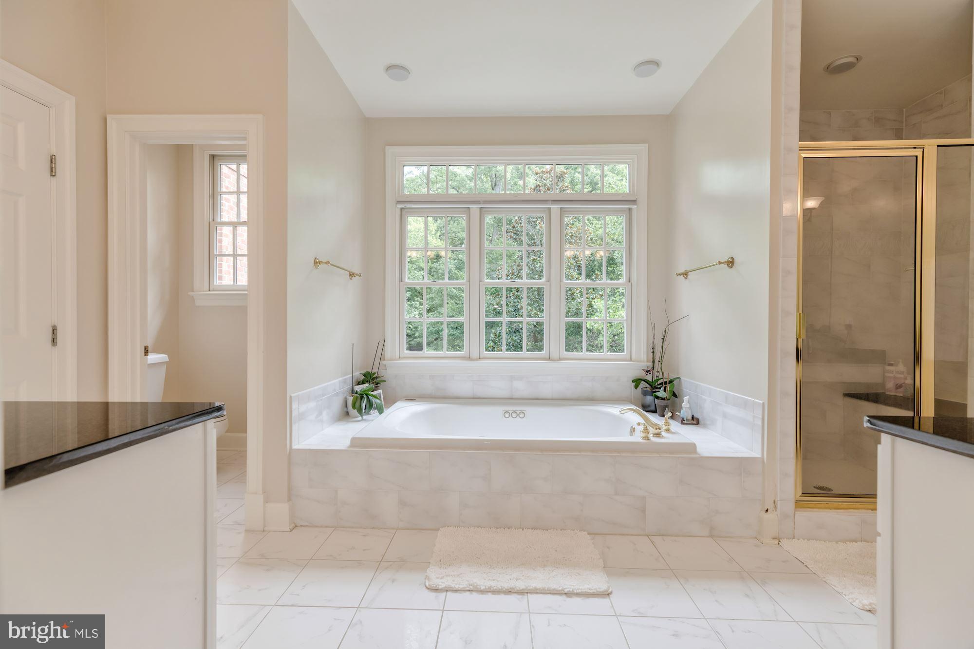 LANGLEY FOREST - Residential