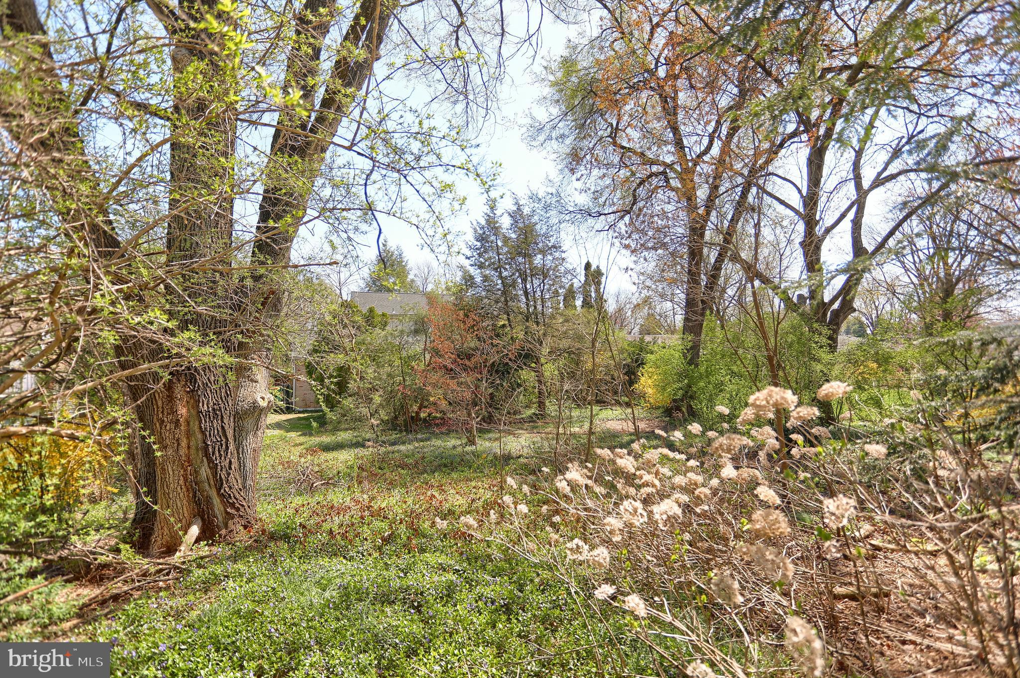 DELBROOK MANOR - Residential