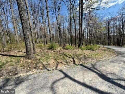 LOT ON S MOUNTAIN ROAD