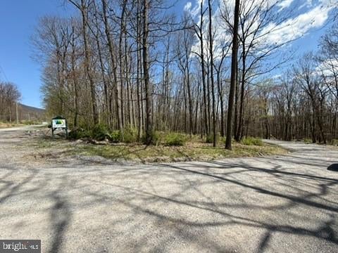 LOT ON S MOUNTAIN ROAD