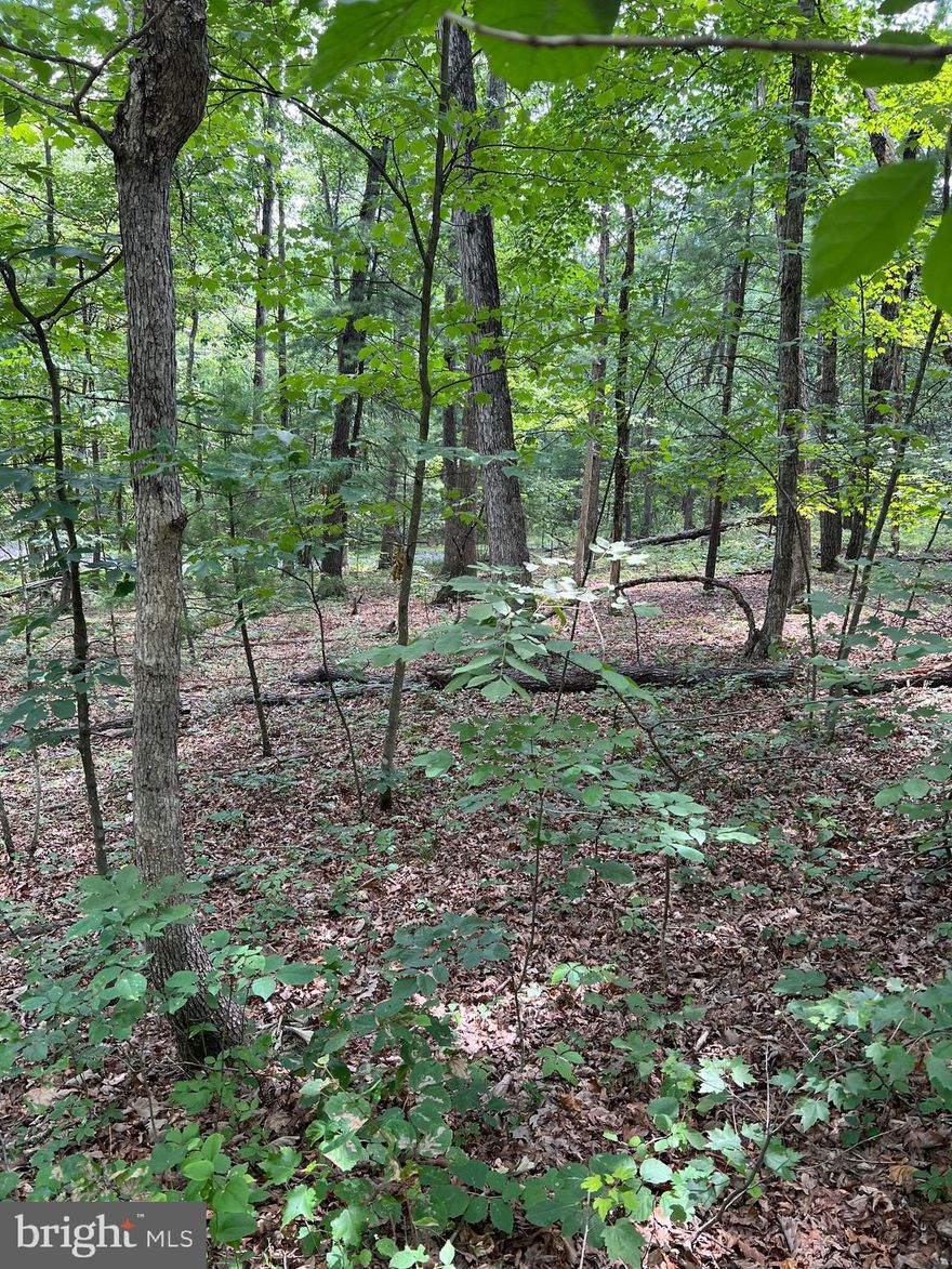 Beautiful Lot in Bryce Resort! The land fronts on both Sycamore Road and Ironwood Road and the lot is mostly level. Signs are on lot from both sides.  Call for more information.