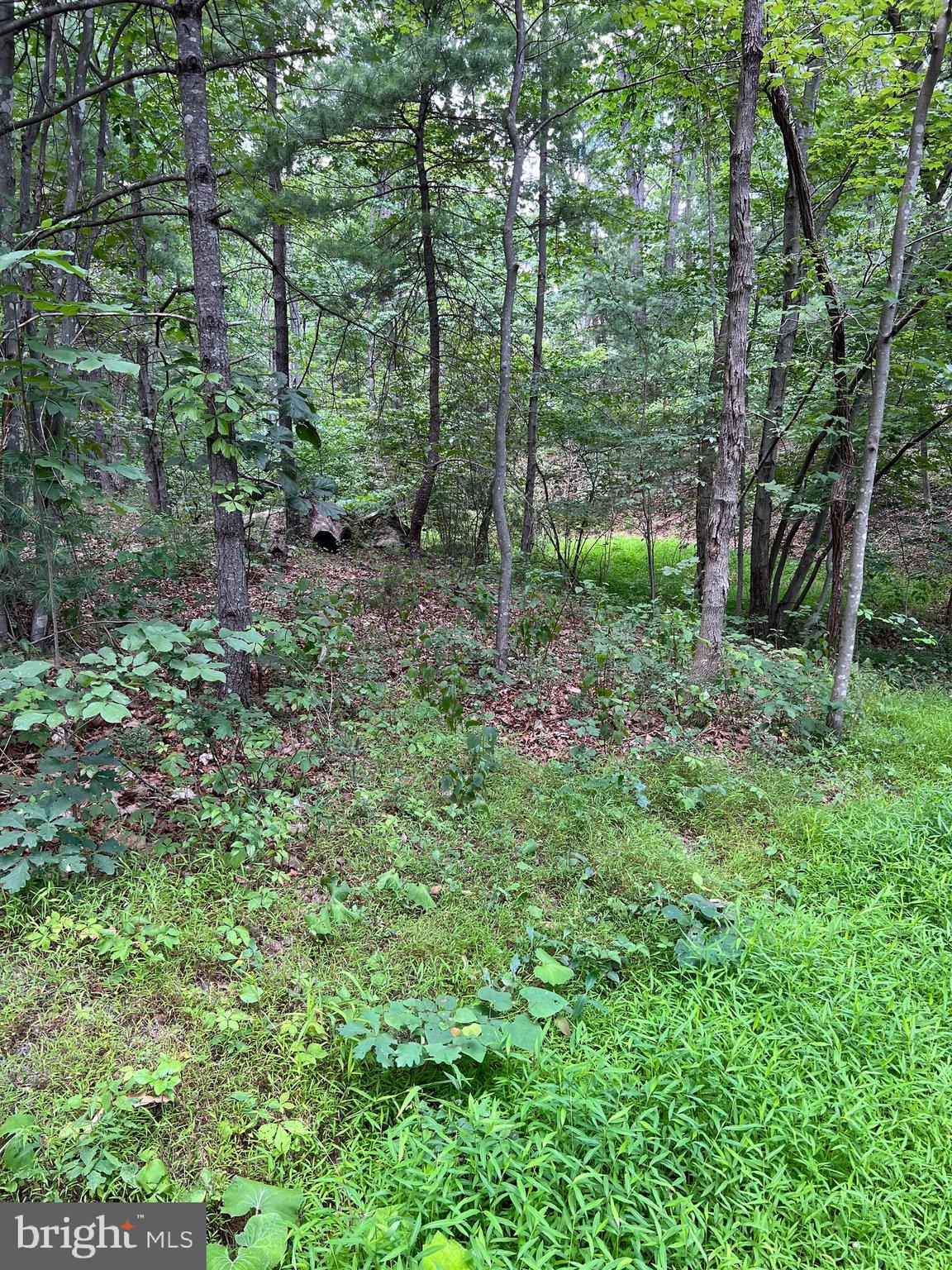 BRYCE MOUNTAIN - Land