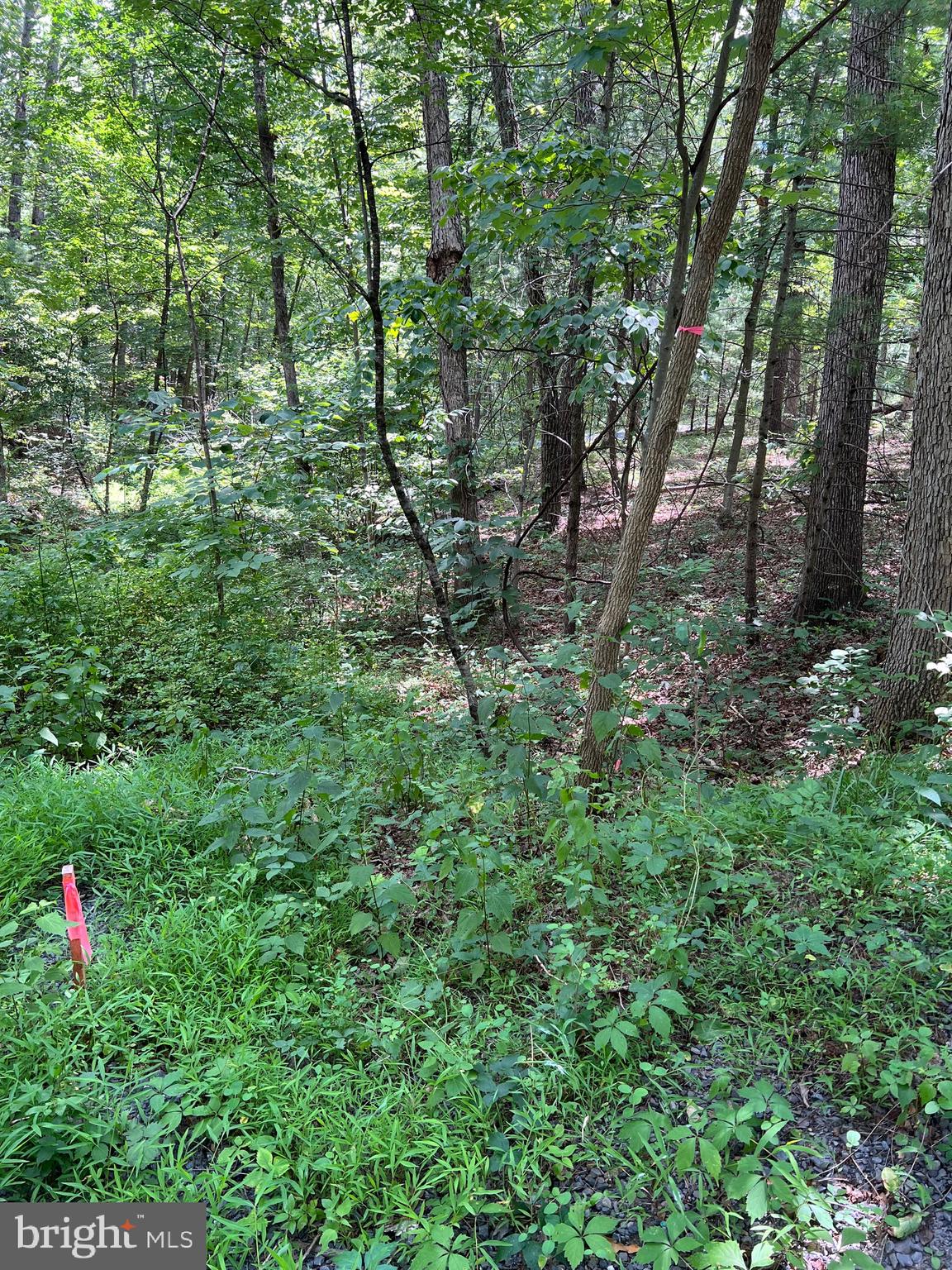 BRYCE MOUNTAIN - Land