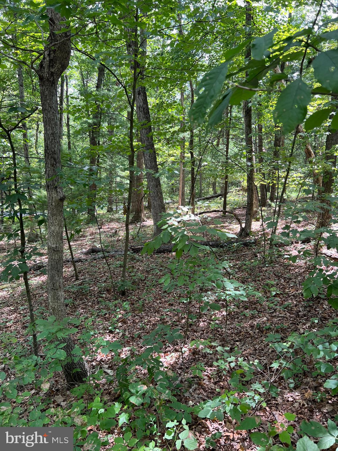 BRYCE MOUNTAIN - Land