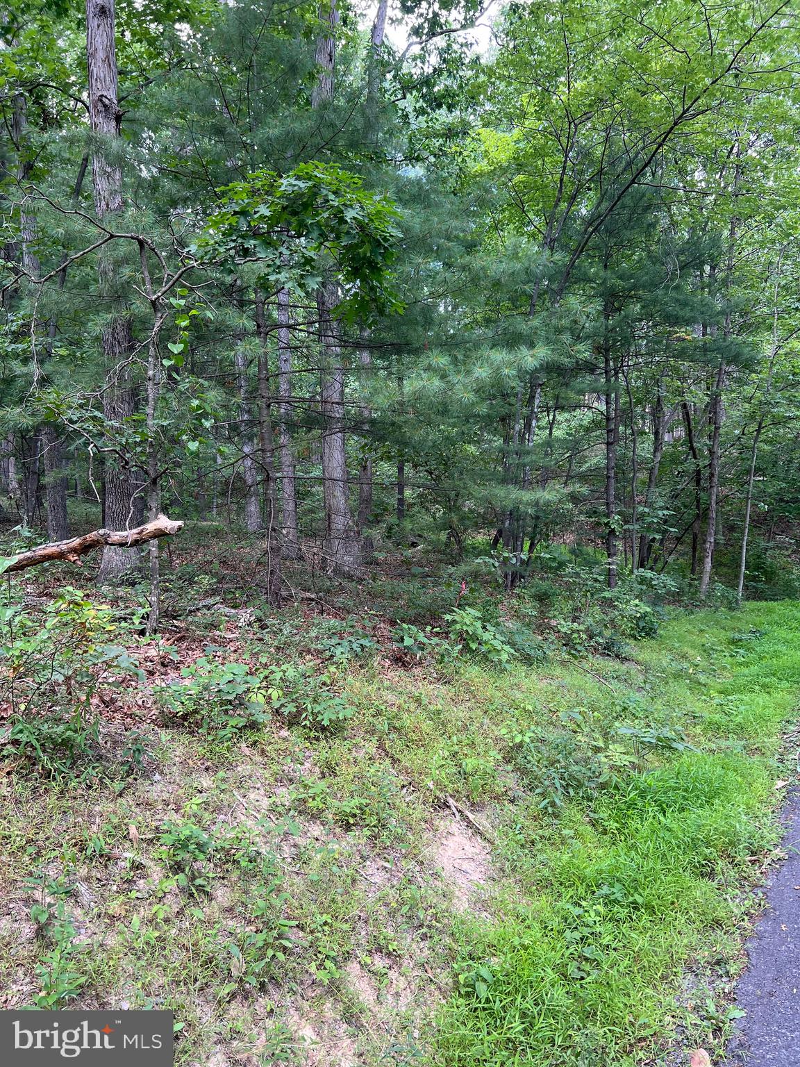 BRYCE MOUNTAIN - Land