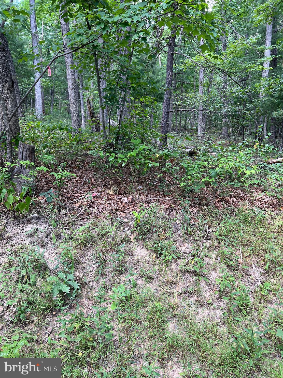 BRYCE MOUNTAIN - Land