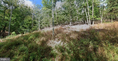 Vacant Land For Sale - 2014 Gore Drive<br/> Prince William County, HAYMARKET, VA 20169