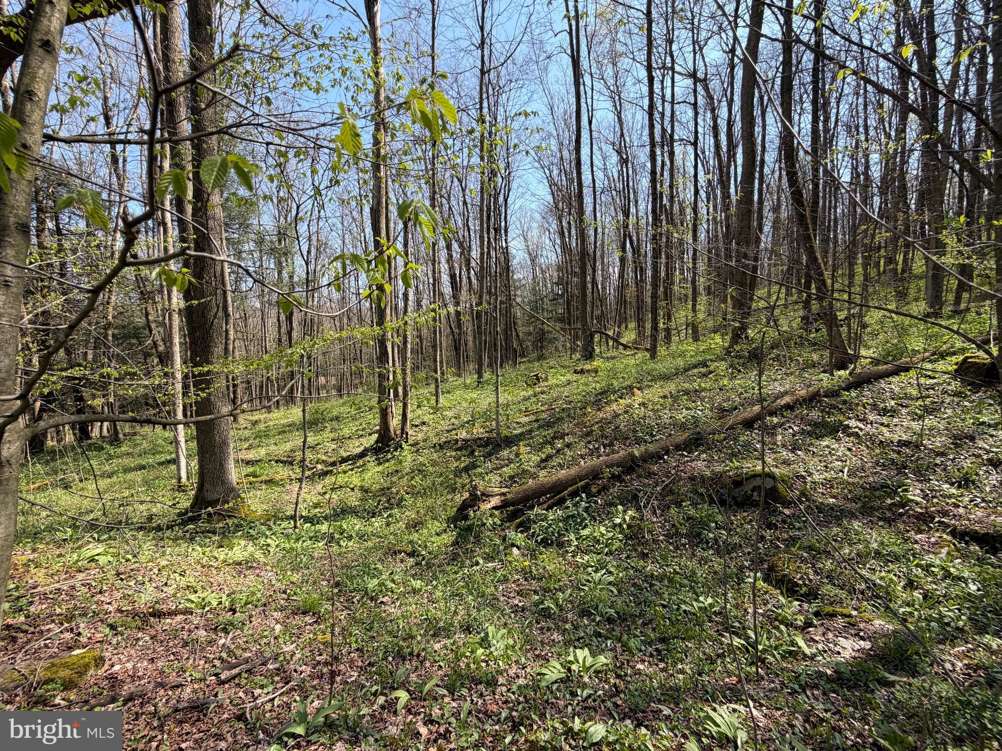 Adj. 216 ROCK CUT ROAD