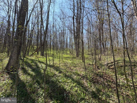 Vacant Land For Sale - ADJ. 216 Rock Cut Road<br/> Somerset County, CENTRAL CITY, PA 15926