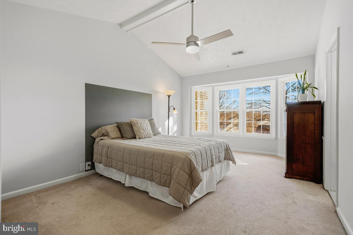 BLACKBURN VILLAGE - Residential